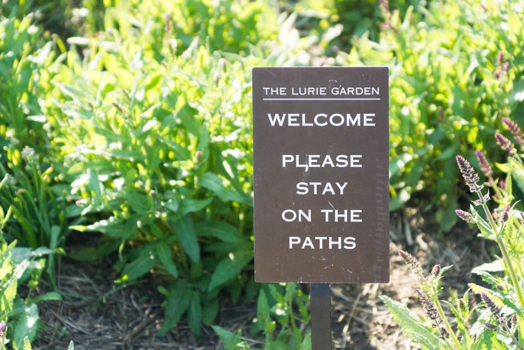 Don't hug the trees!