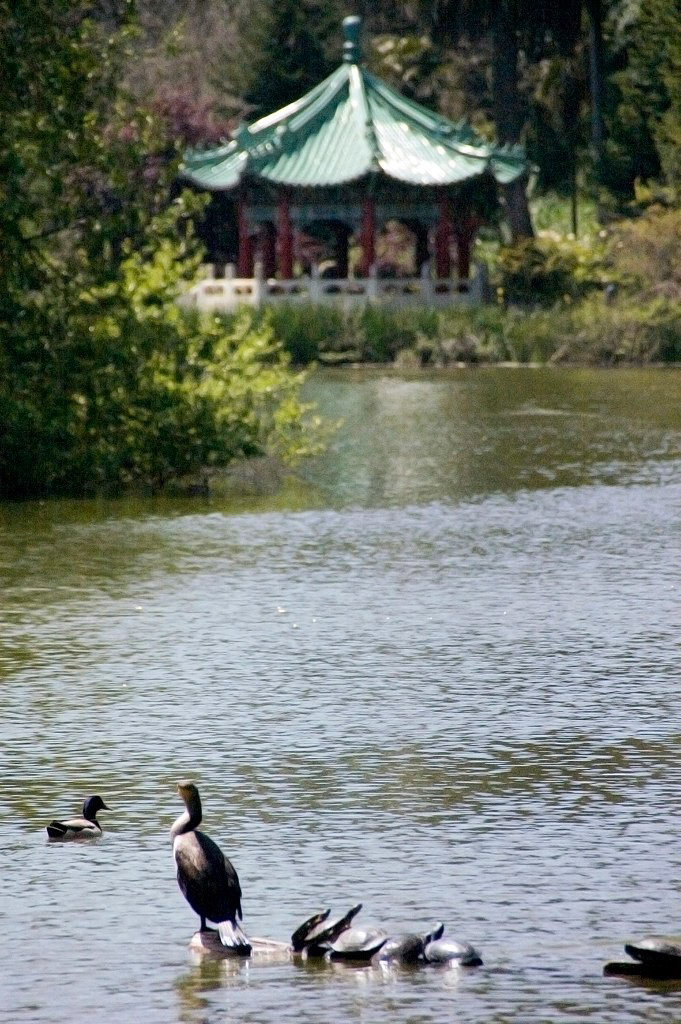 KONICA MINOLTA DIGITAL CAMERA