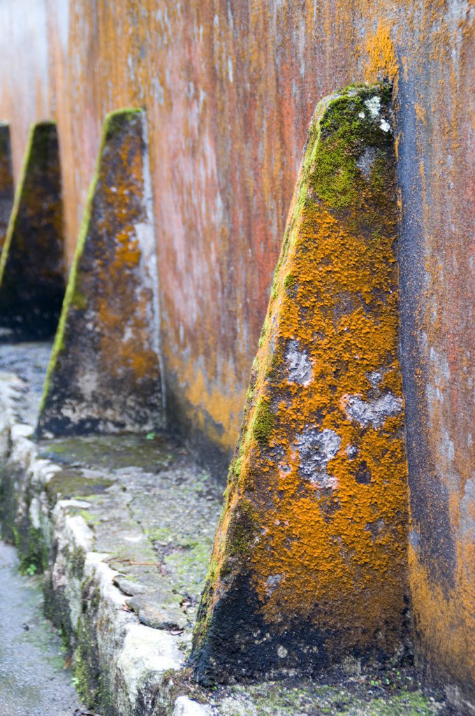 KONICA MINOLTA DIGITAL CAMERA