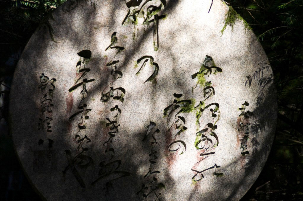 KONICA MINOLTA DIGITAL CAMERA