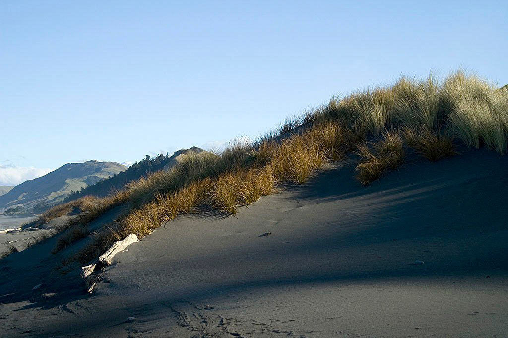 KONICA MINOLTA DIGITAL CAMERA