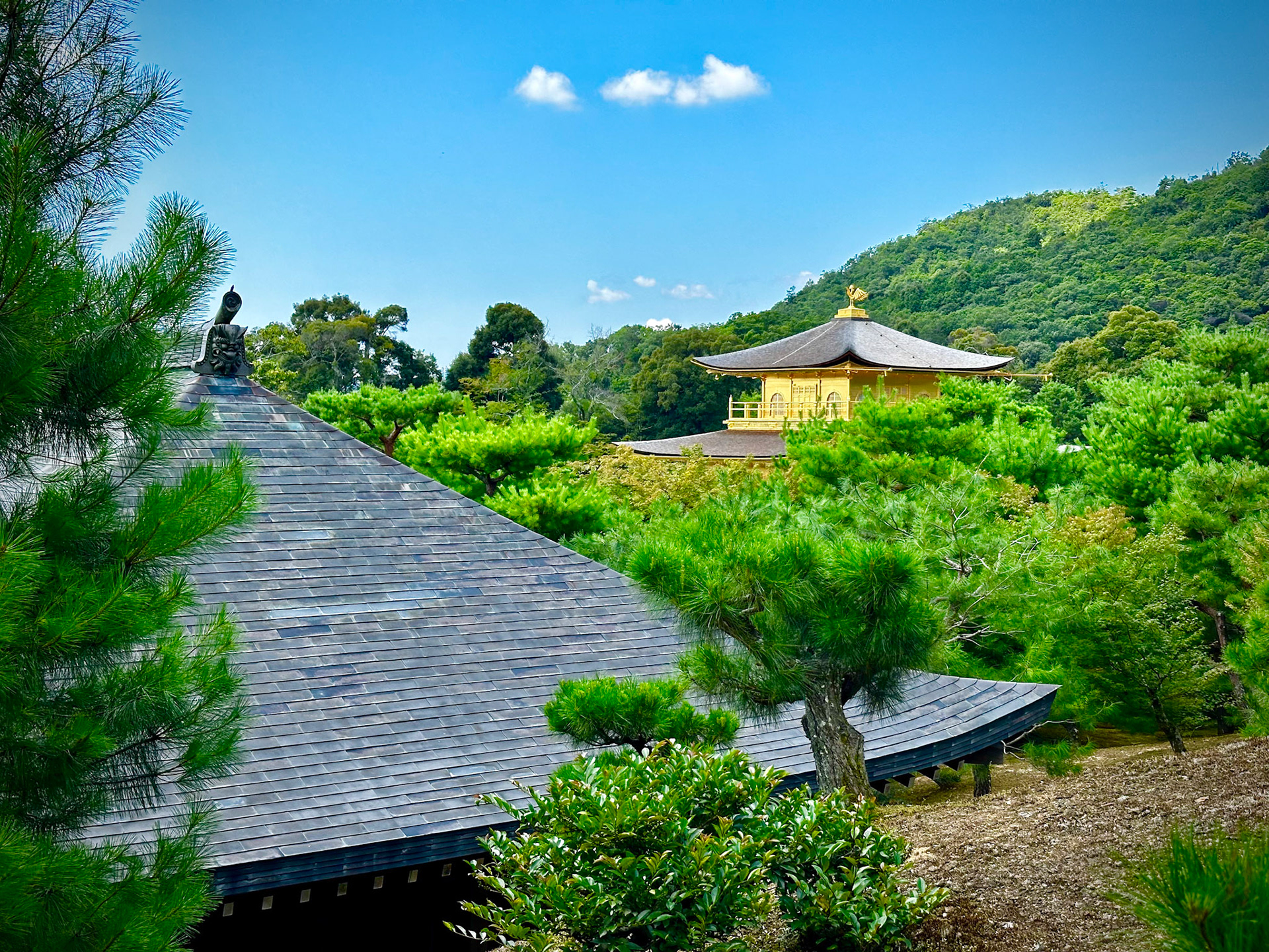 Kinkakuji (金閣寺, Golden Pavilion)