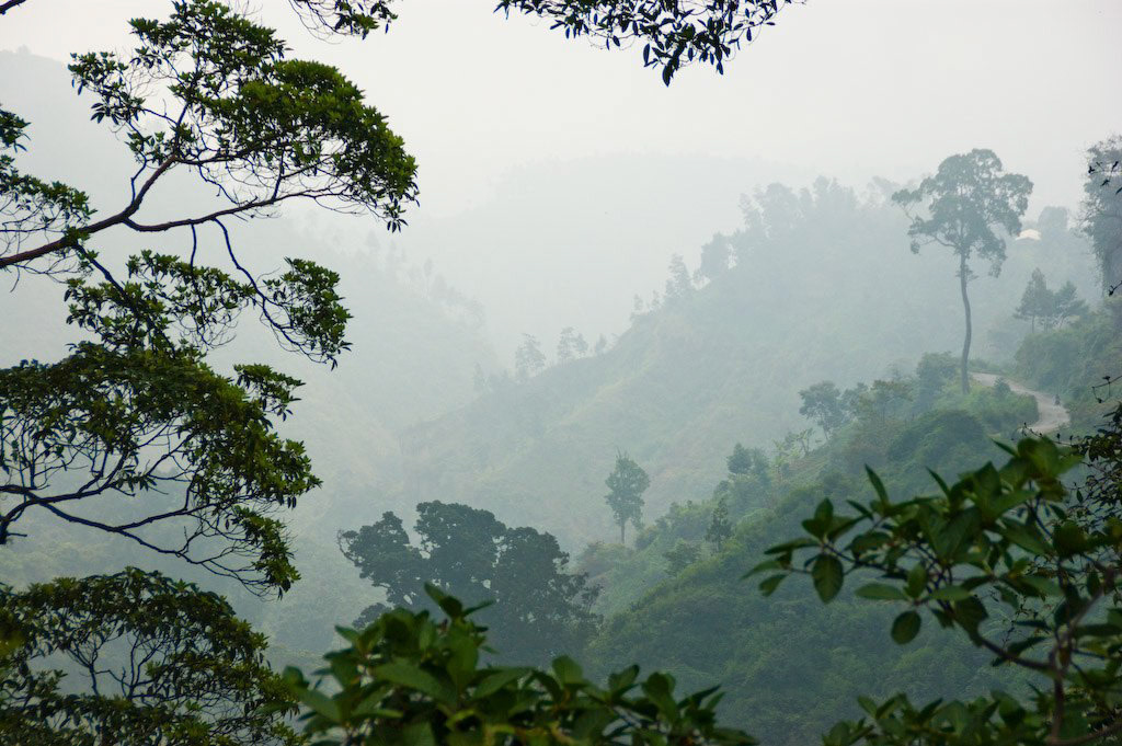 Central Java View