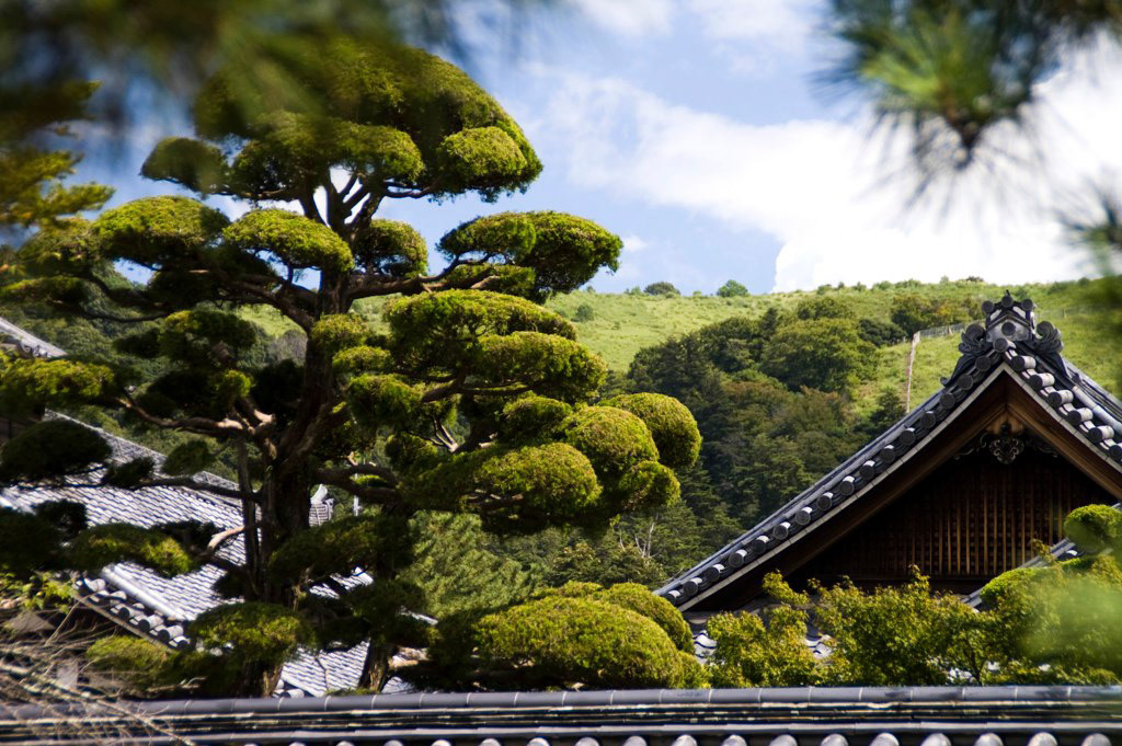 KONICA MINOLTA DIGITAL CAMERA