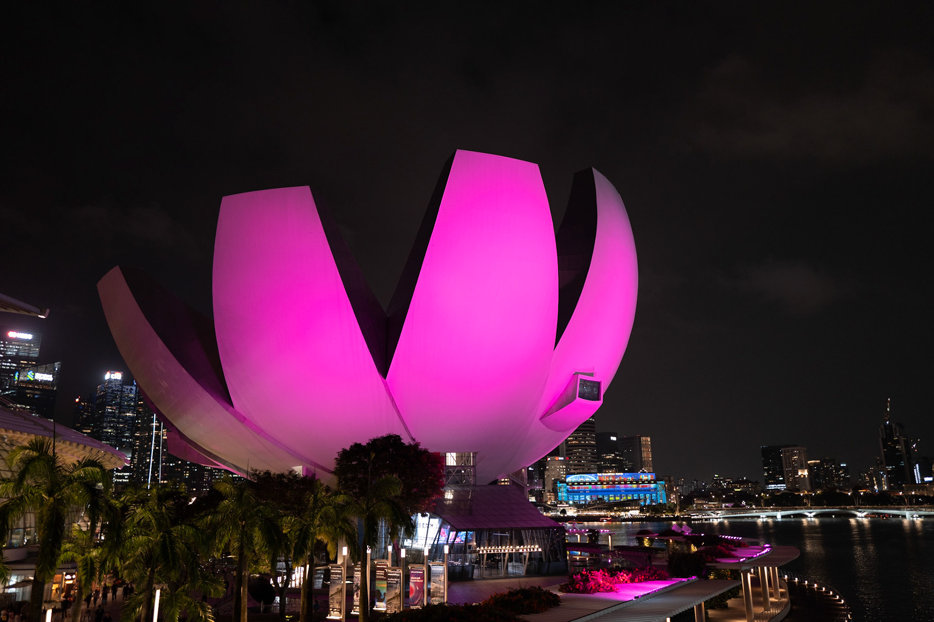 ArtScience Museum, Singapore