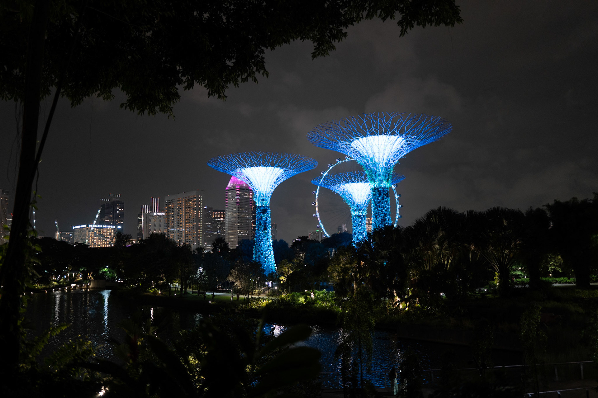 Supertree Grove, Singapore