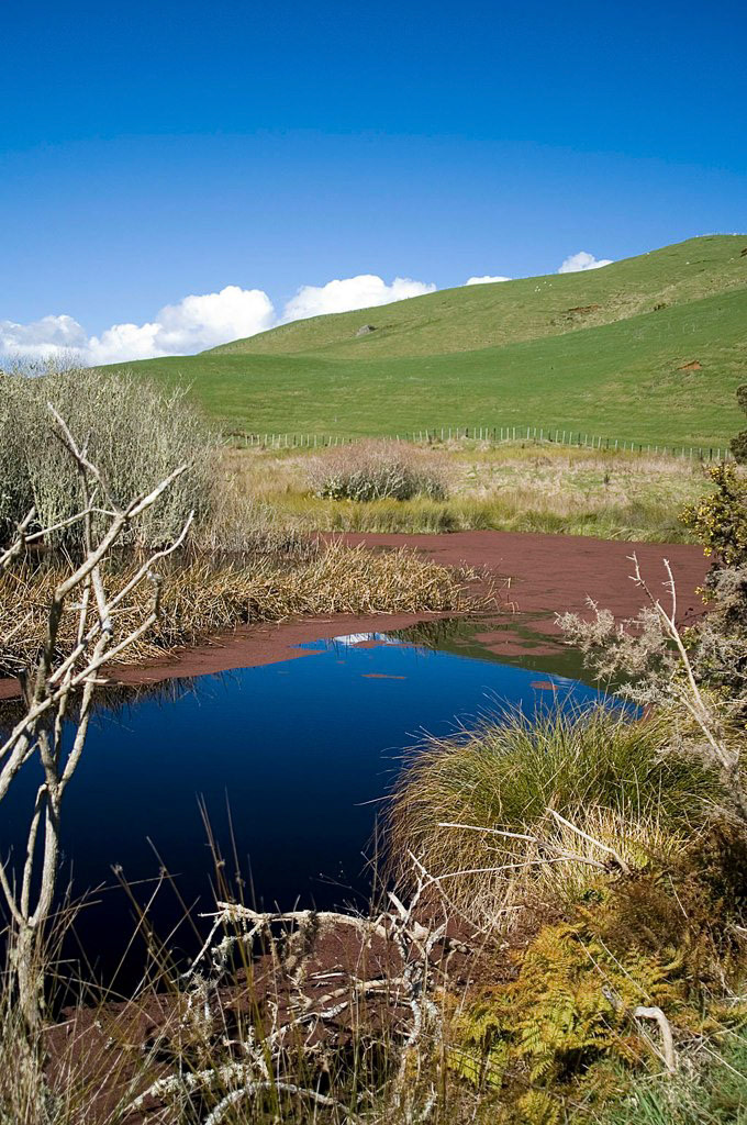 KONICA MINOLTA DIGITAL CAMERA