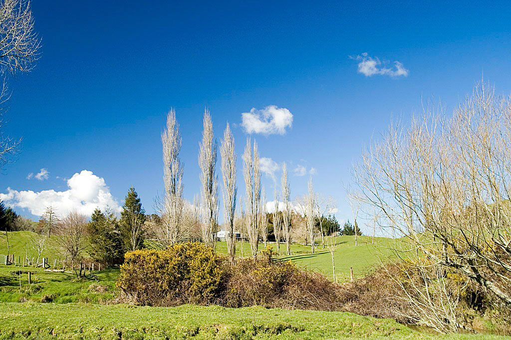 KONICA MINOLTA DIGITAL CAMERA