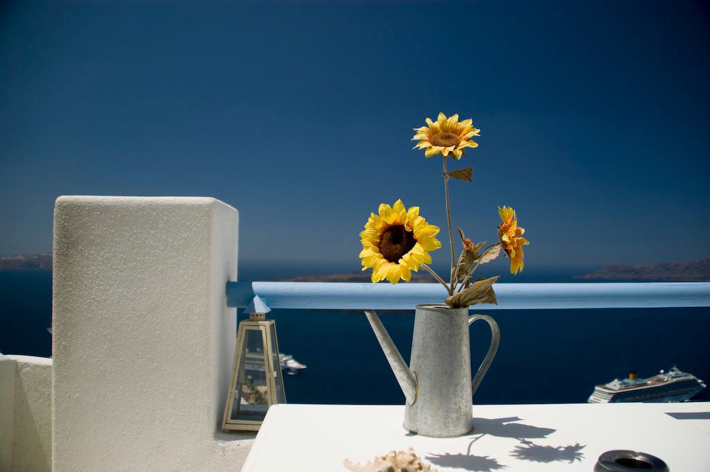 Fira Fake Sunflowers