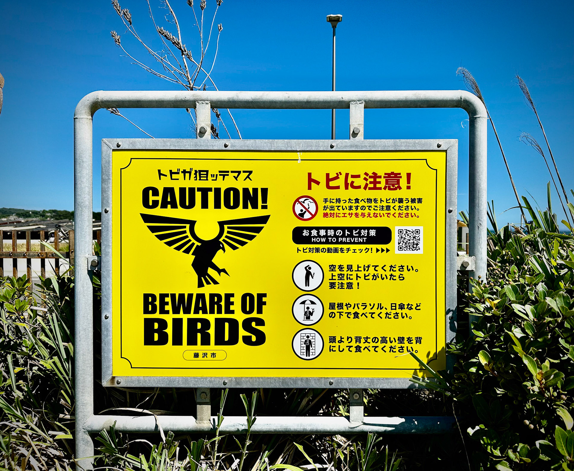 Enoshima, Island of E (江の島)