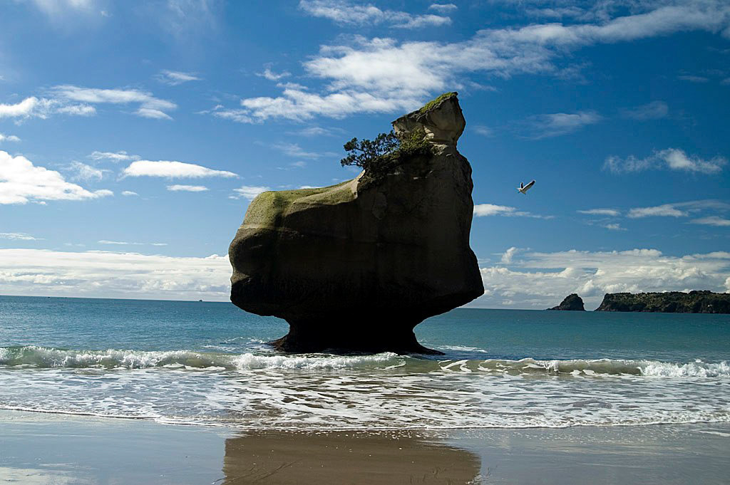 KONICA MINOLTA DIGITAL CAMERA