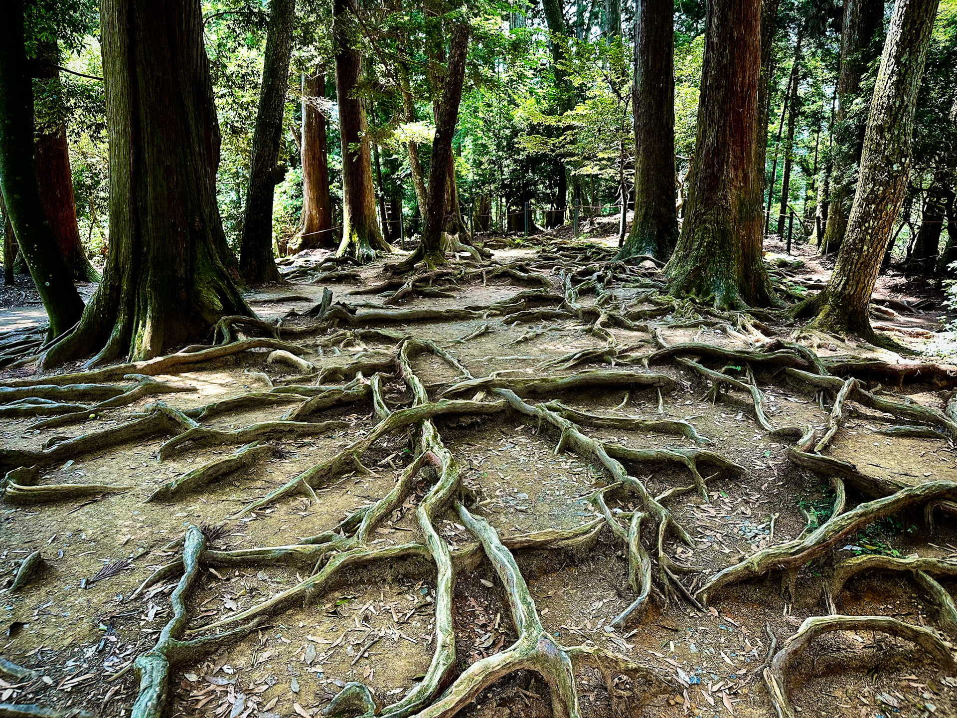 Mount Kurama (鞍馬山, Kurama-yama)