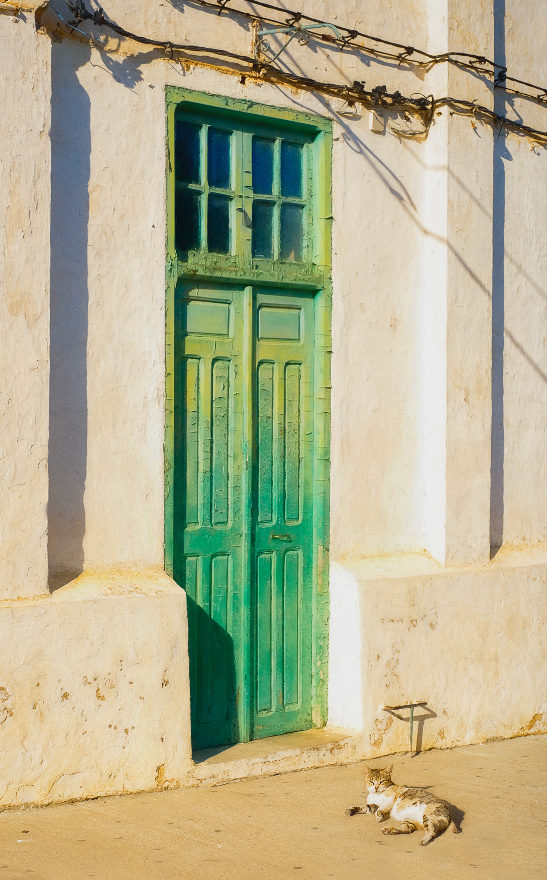 Door & Cat: Asilah, MAR
