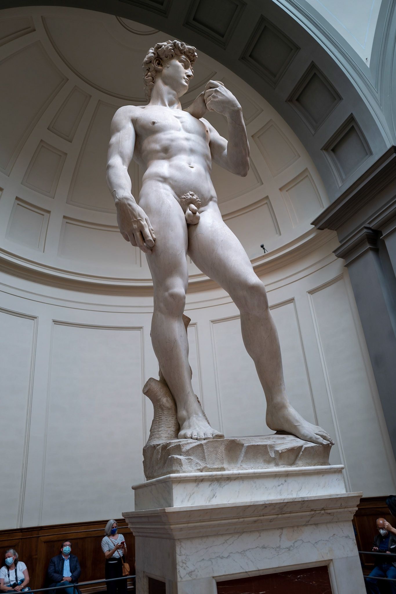 Michelangelo's David