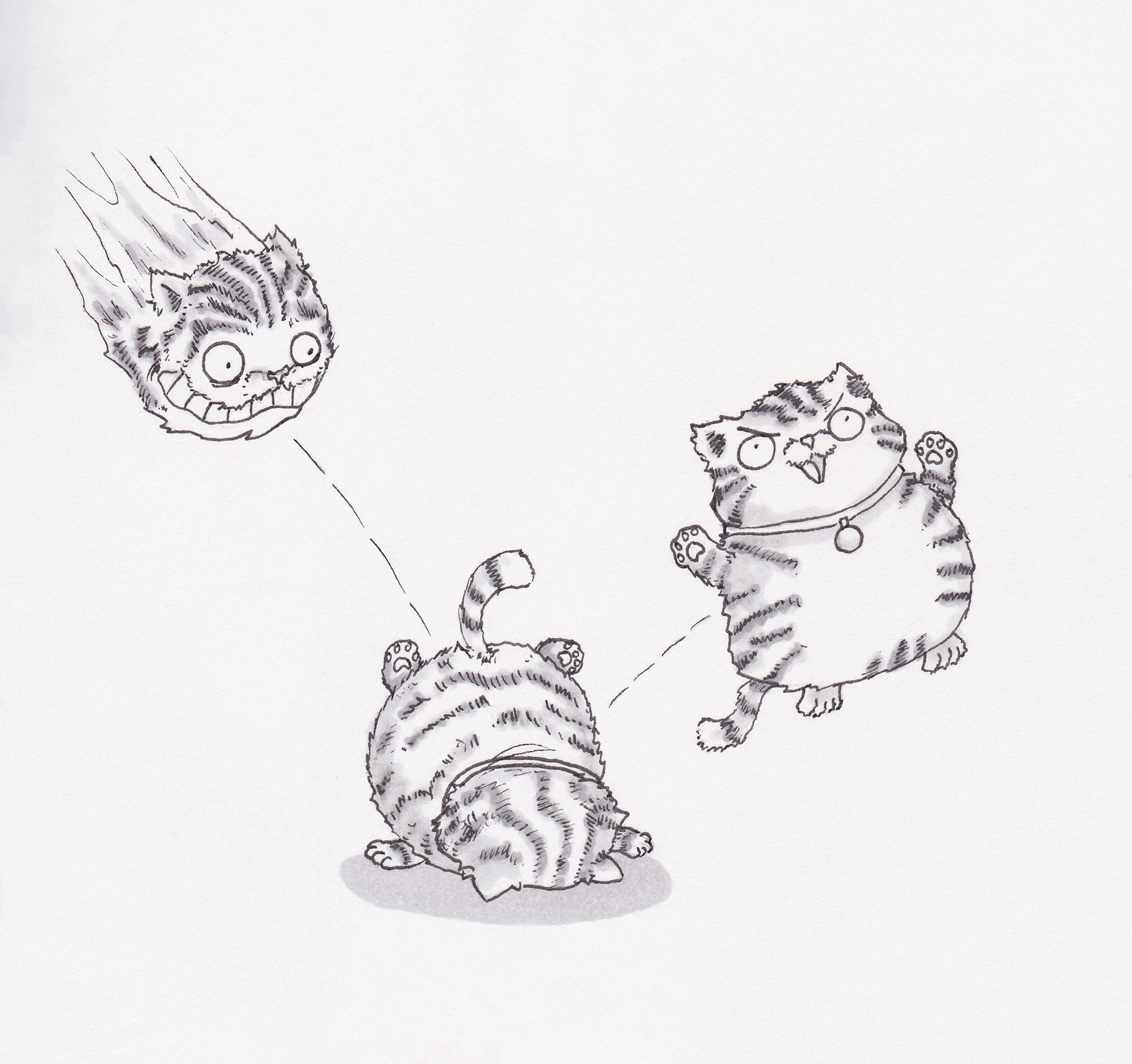 Inktober 2023: Bounce