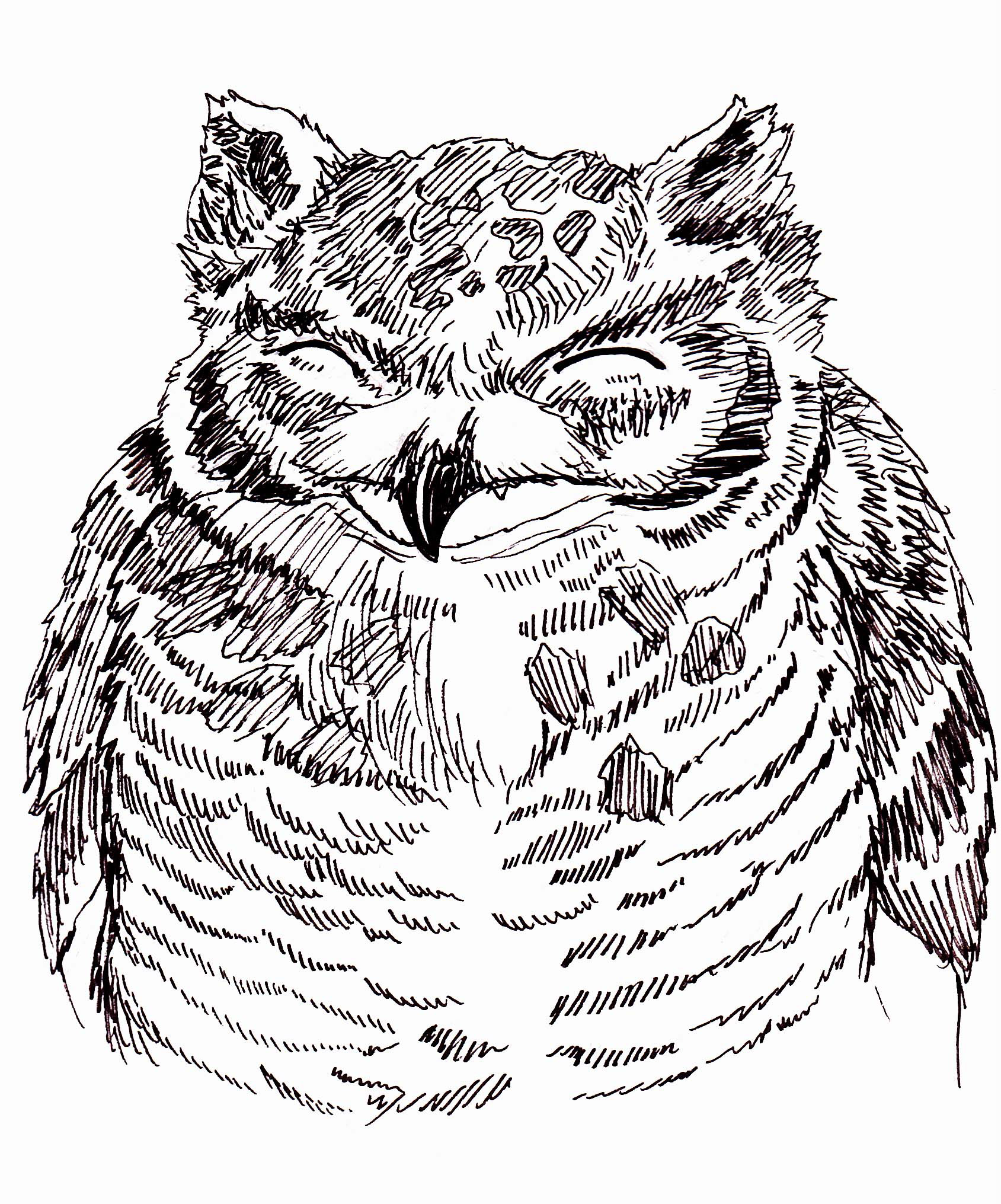 Inktober 2021: Fuzzy
