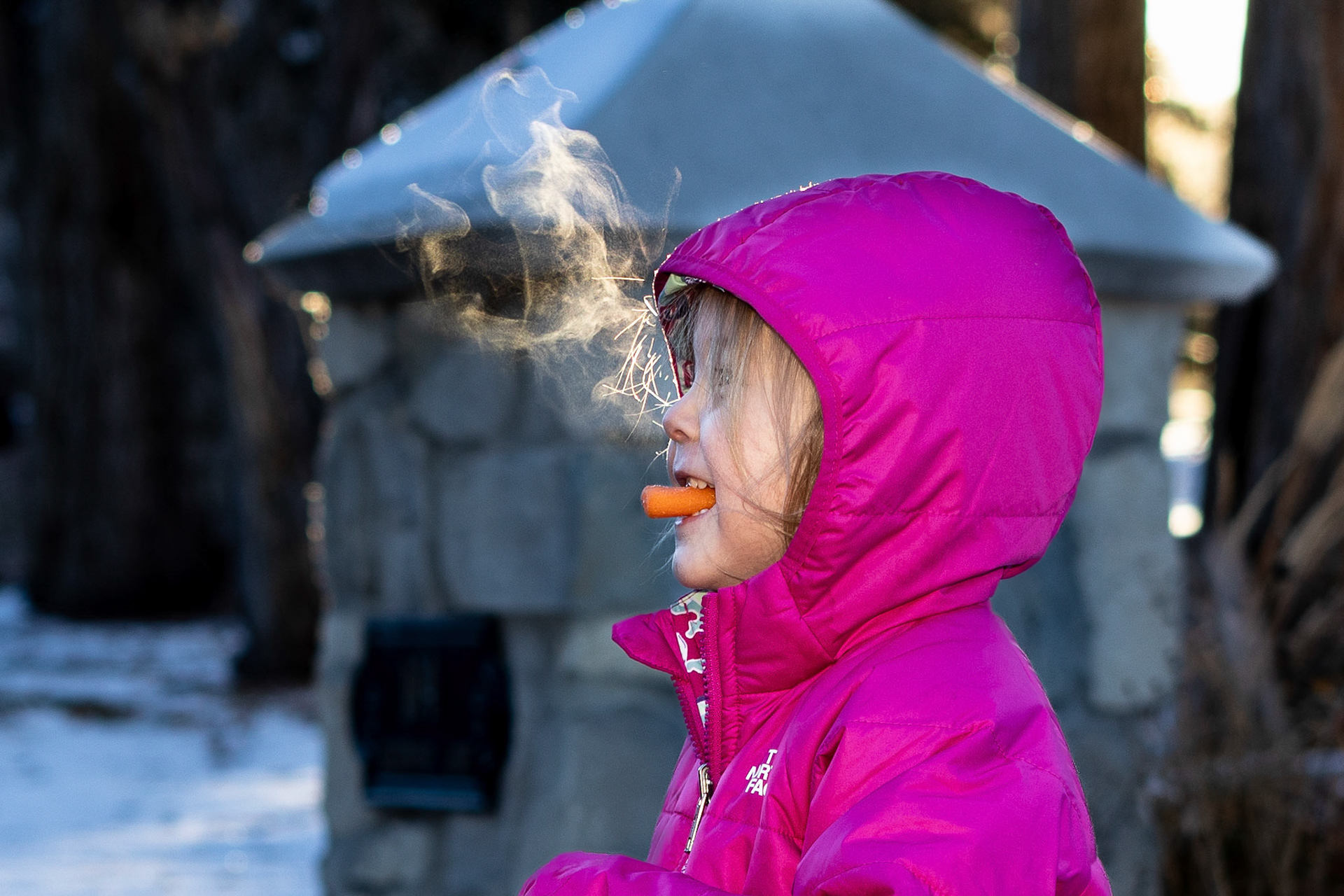 Snacking on carrots while enjoying a brisk morning walk
