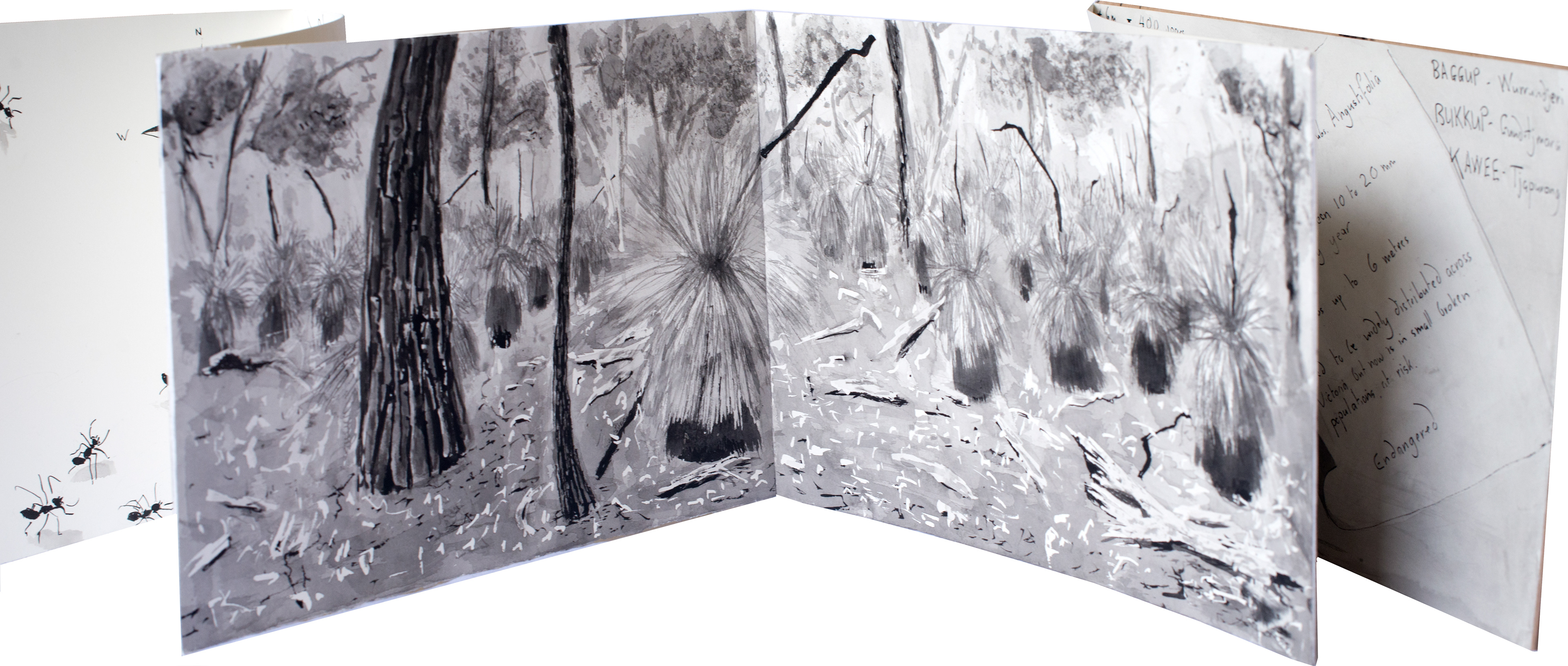 Jane Mullett - Diploma of Visual Arts