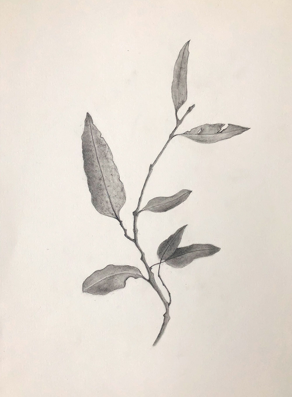 Sheridan Donovan - Certificate IV in Visual Arts