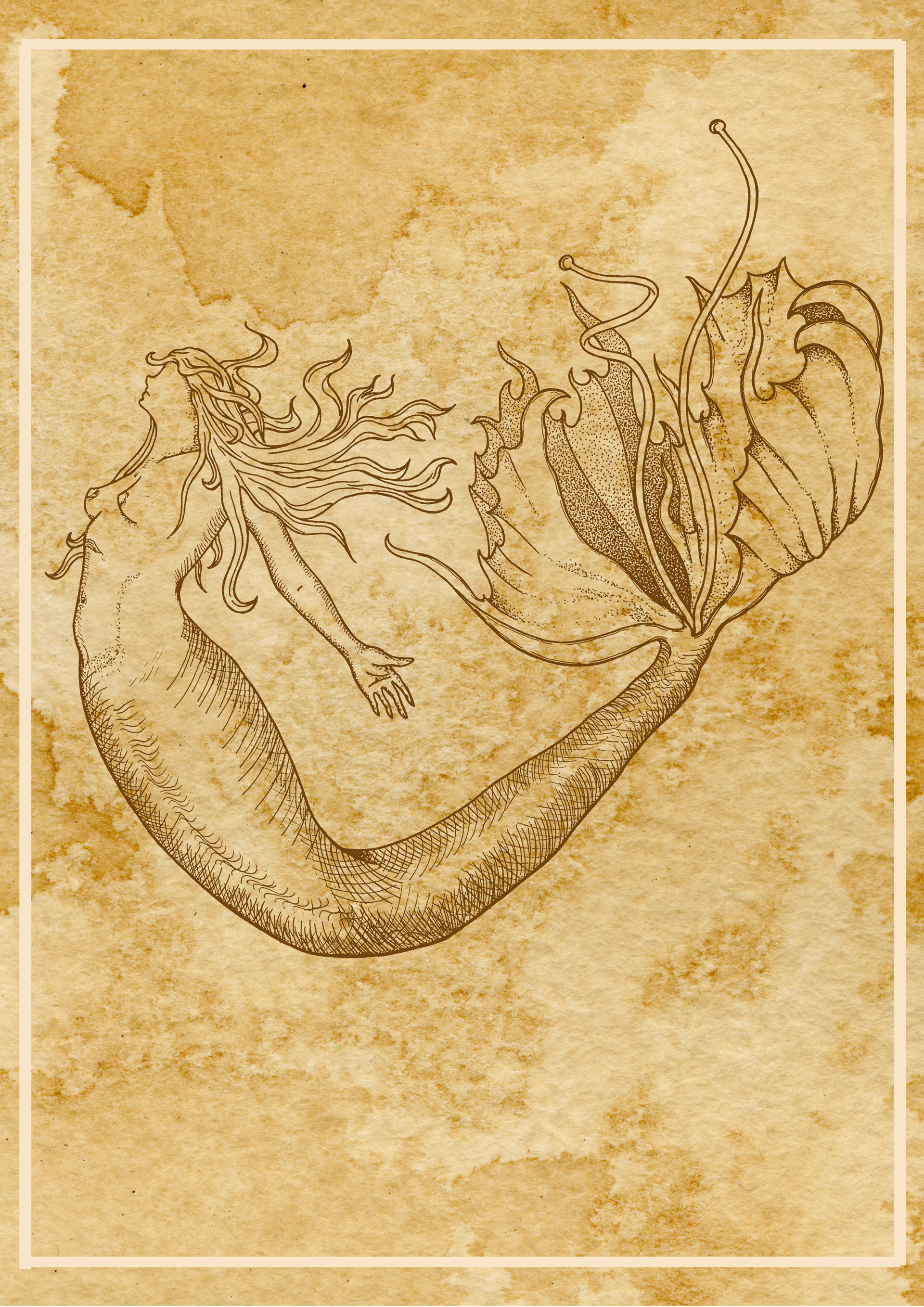 Mermaid – Fine liners and digital This is a mock-up illustration project for a white wine tag called Mermaid.