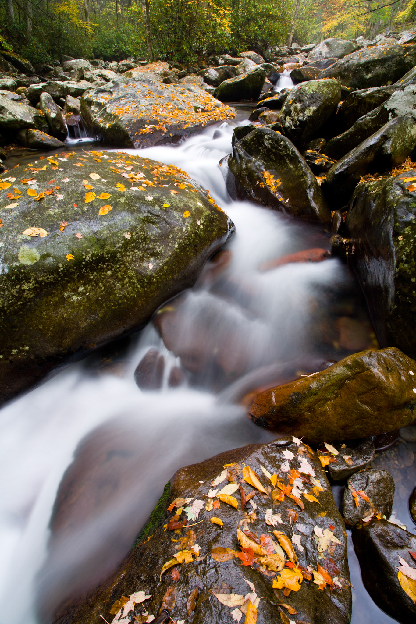 Little Pigeon River, Great Smoky Mountains National Park, Tennesee, USA.