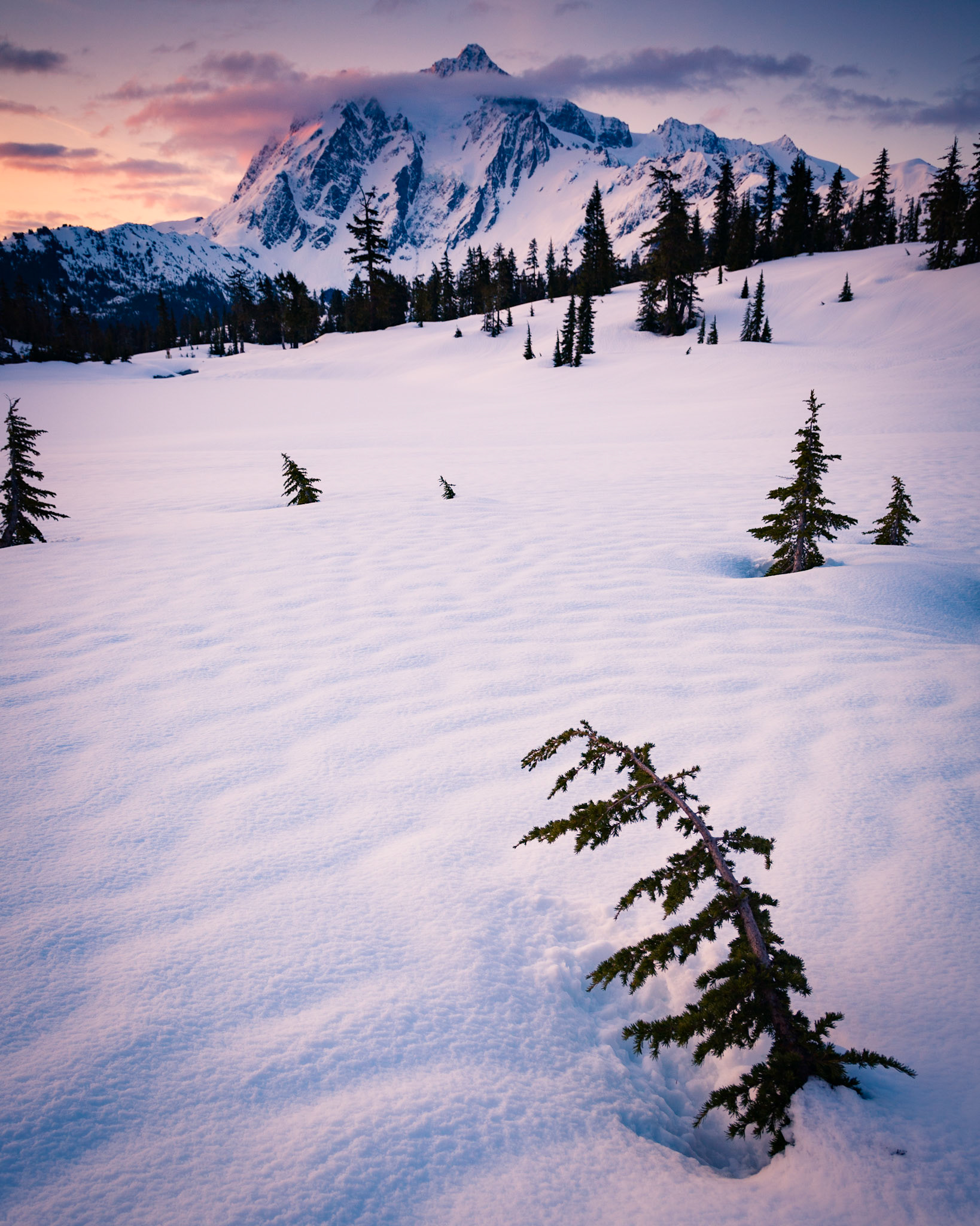 Picture Lake, Mt. Baker National Forest, Washington.