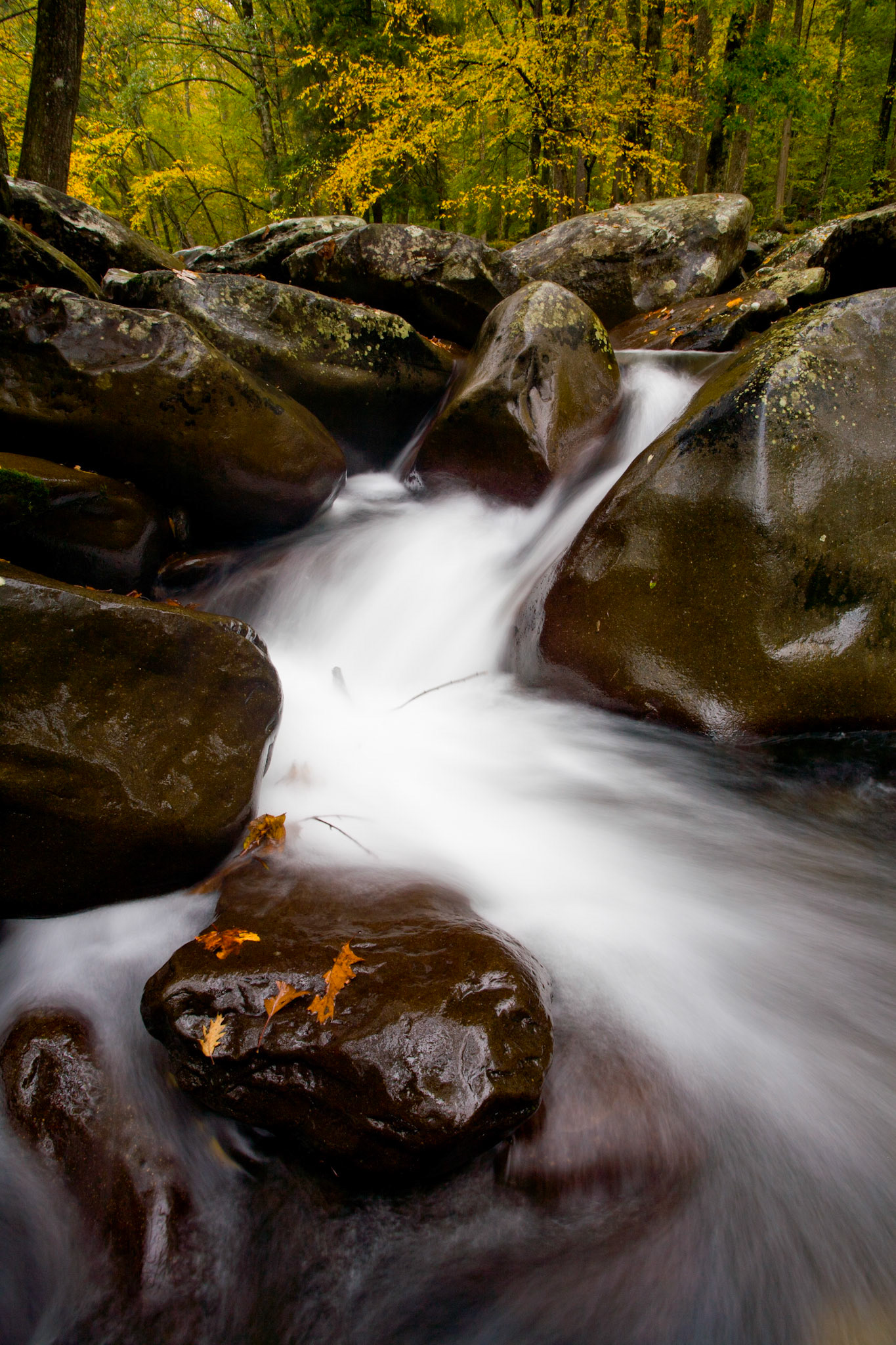Little Pigeon River, Great Smoky Mountains National Park, Tennessee, USA.