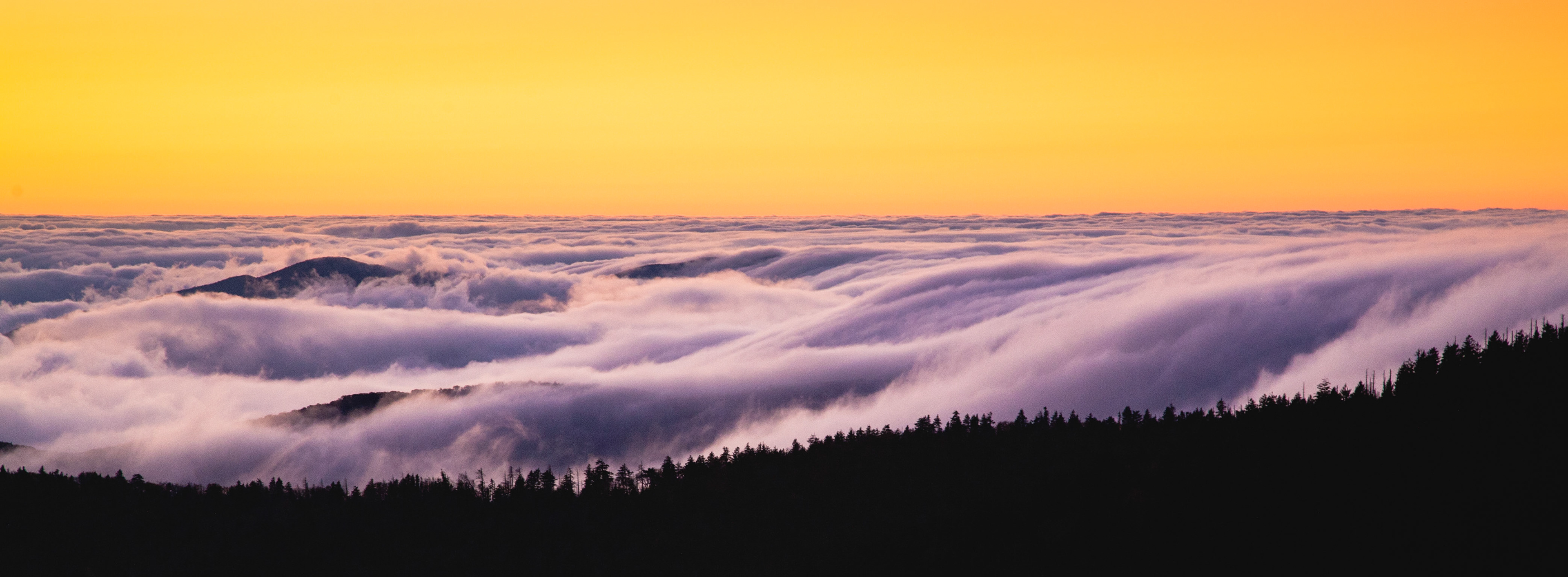 Clingman's Dome, Great Smoky Mountains National Park, Tennesee, USA.