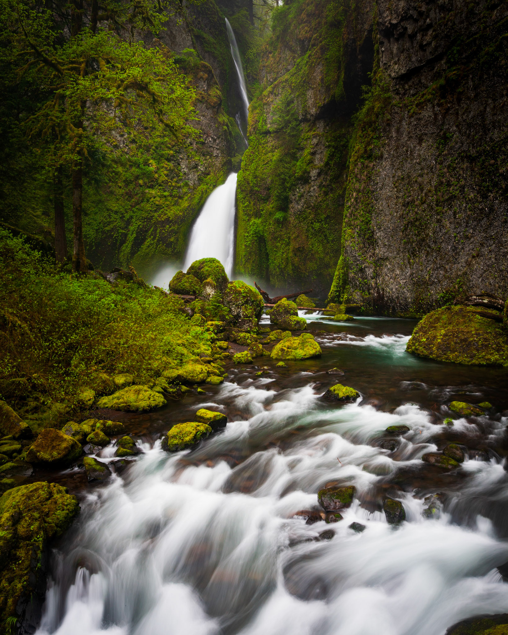Wahclella Falls, Columbia River Gorge, Oregon, USA.