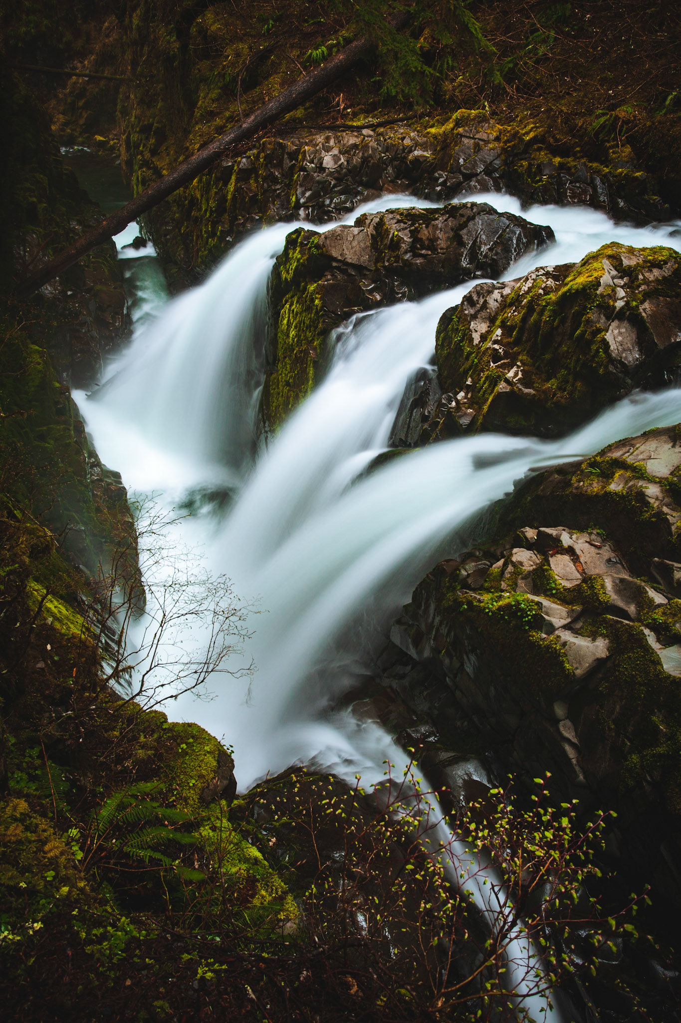 Sol Duc Falls II