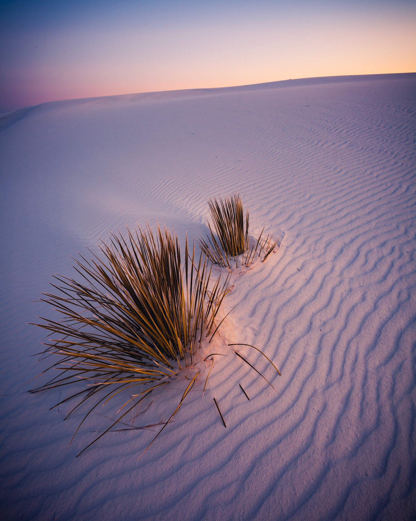 White Sands National Monument, New Mexico, USA.