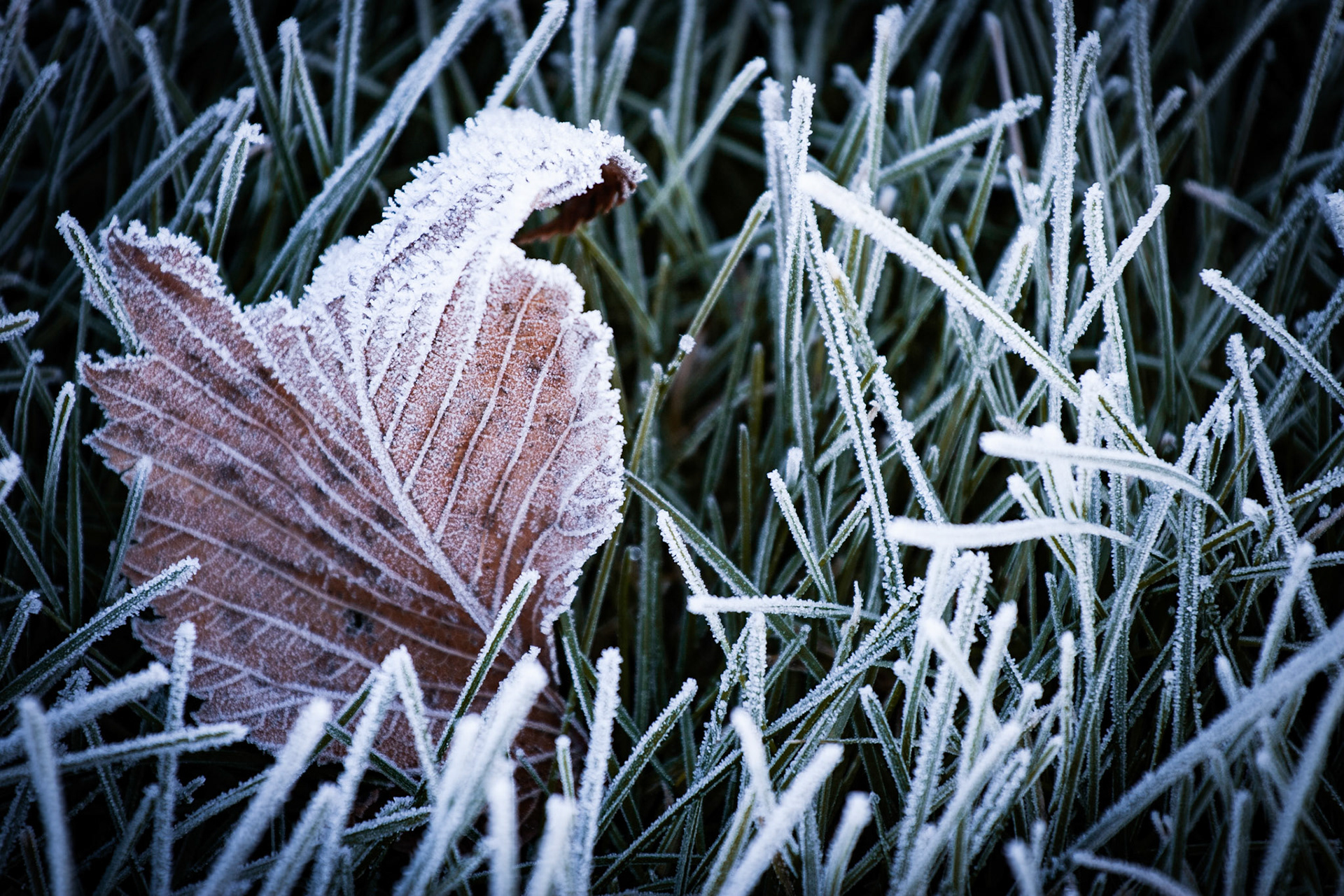 Great Sand Dunes National Park and Preserve, Colorado, USA.
