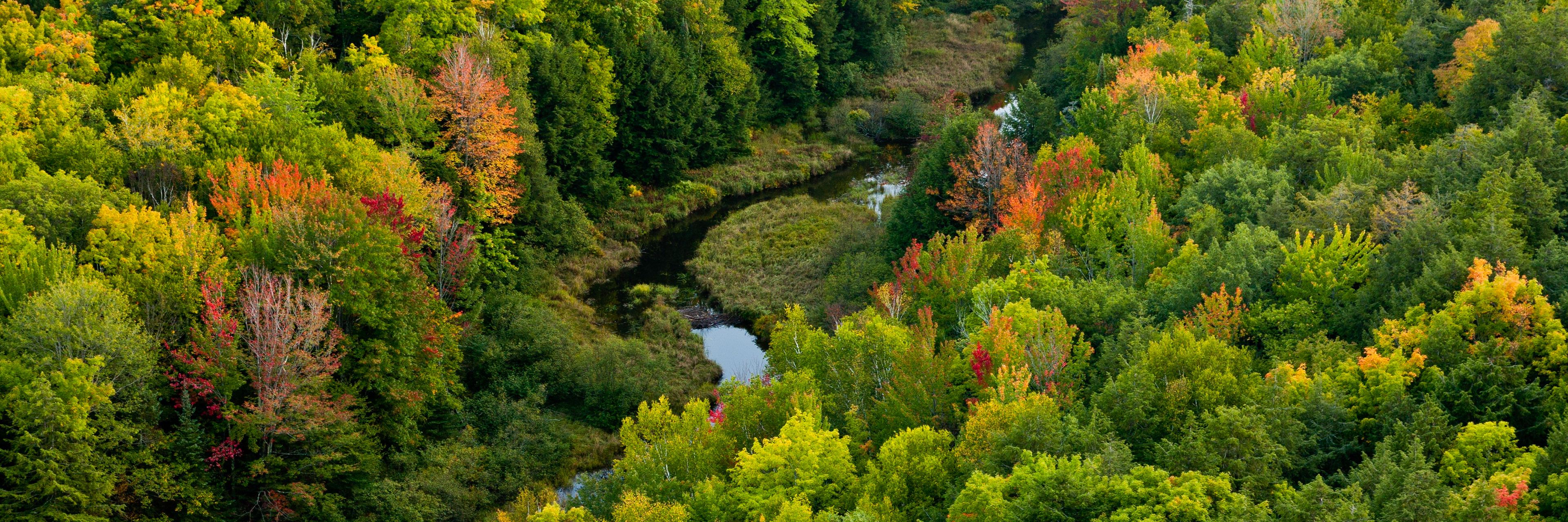 Porcupine Mountains Wilderness State Park, Michigan, USA.
