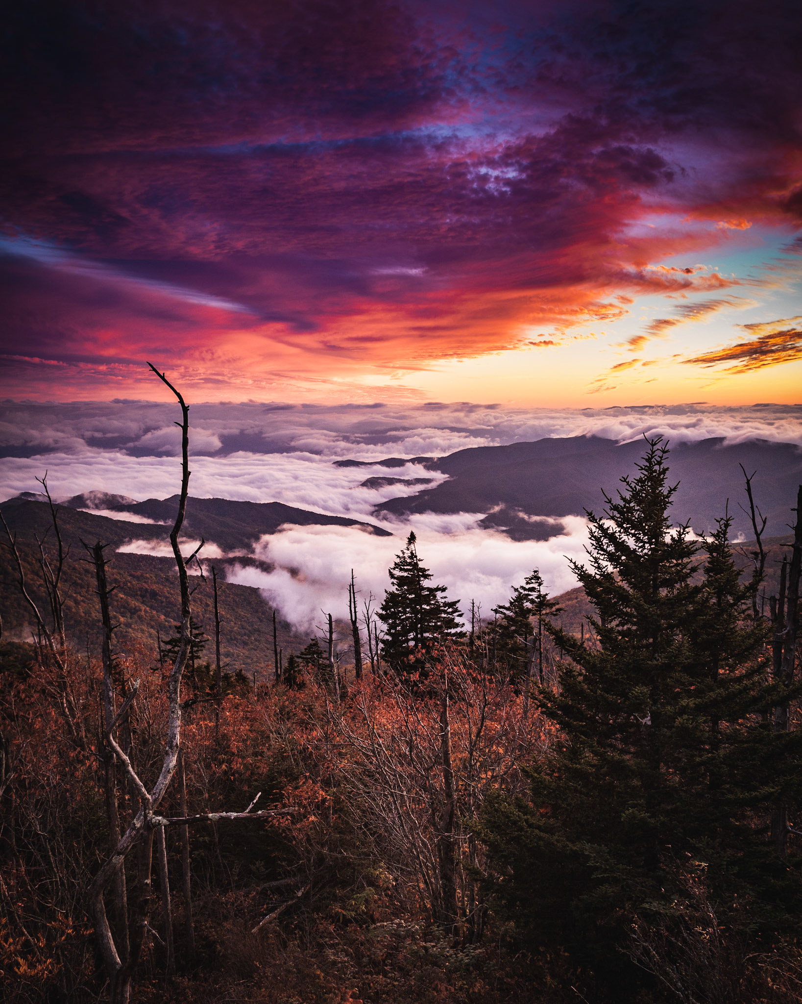 Clingman's Dome, Great Smoky Mountains National Park, Tennesee, USA.