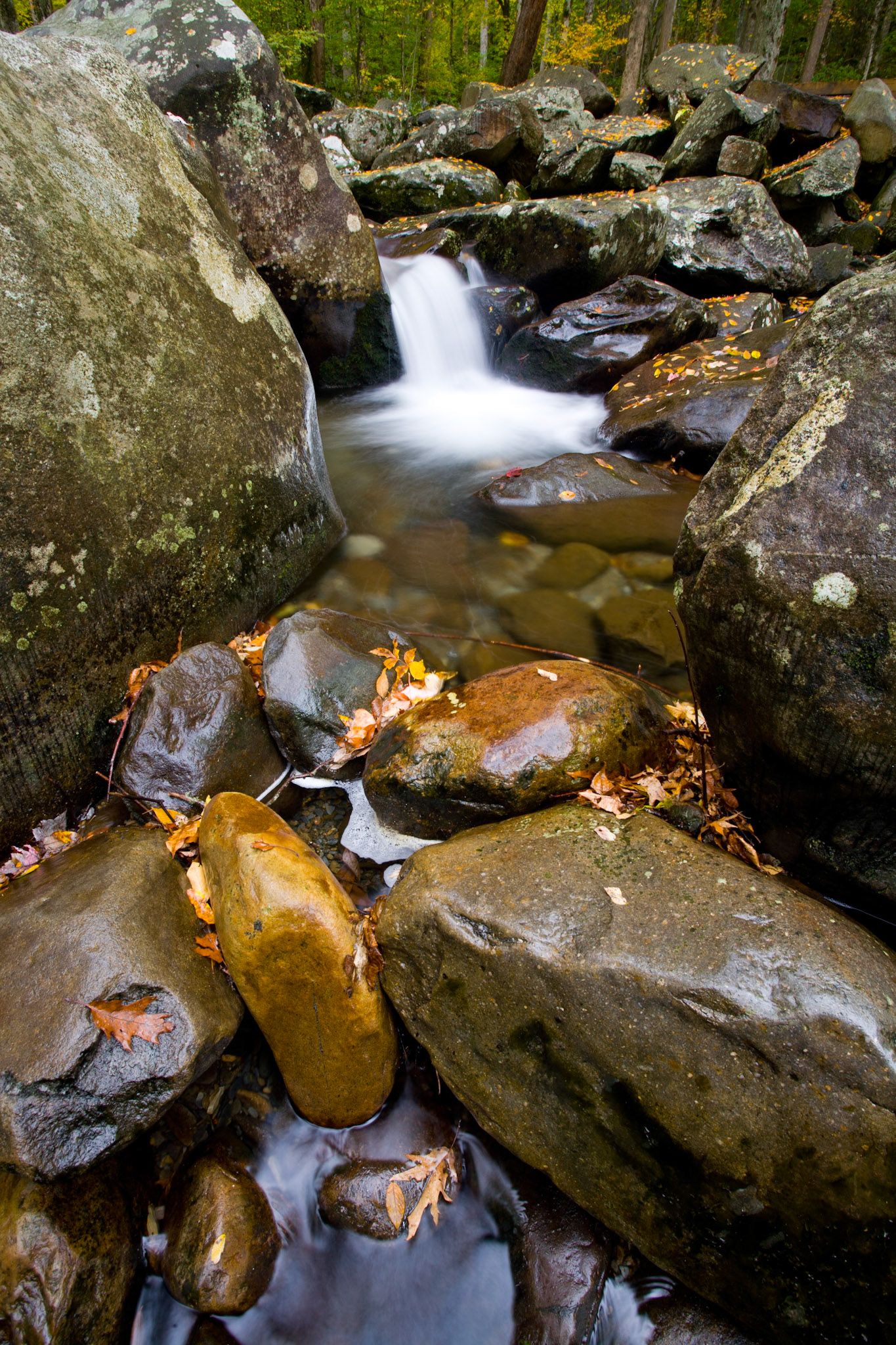 Small Cascade in Little Pigeon River