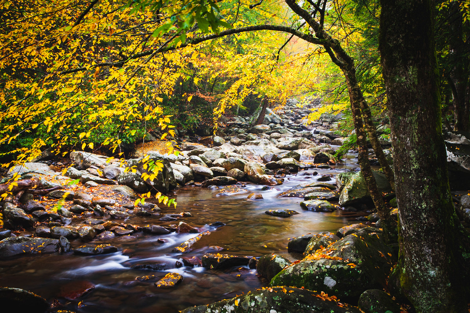 Little Pigeon River, Great Smoky Mountains National Park, Tennesee, USA.