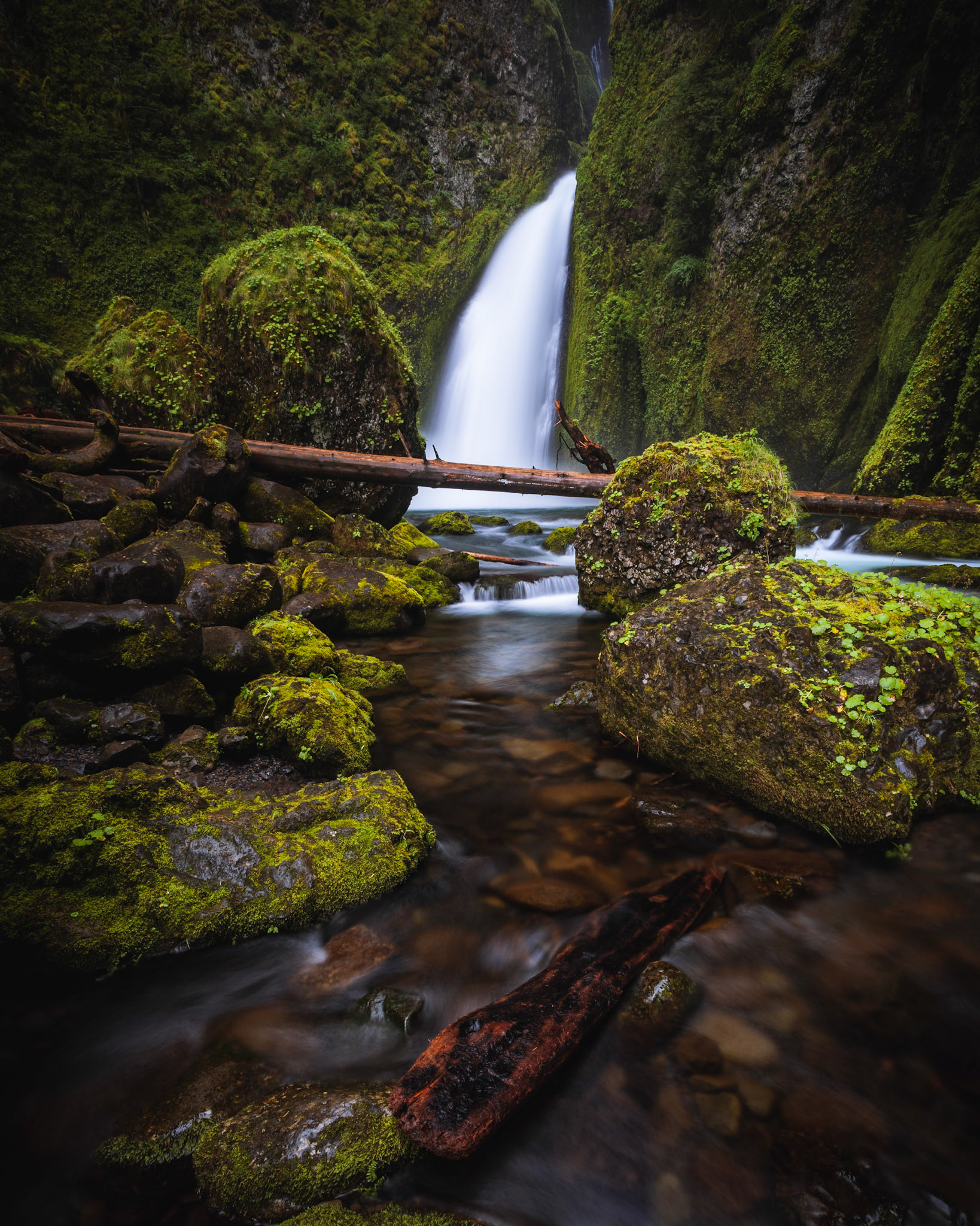Wahclella Falls, Columbia River Gorge, Oregon, USA.
