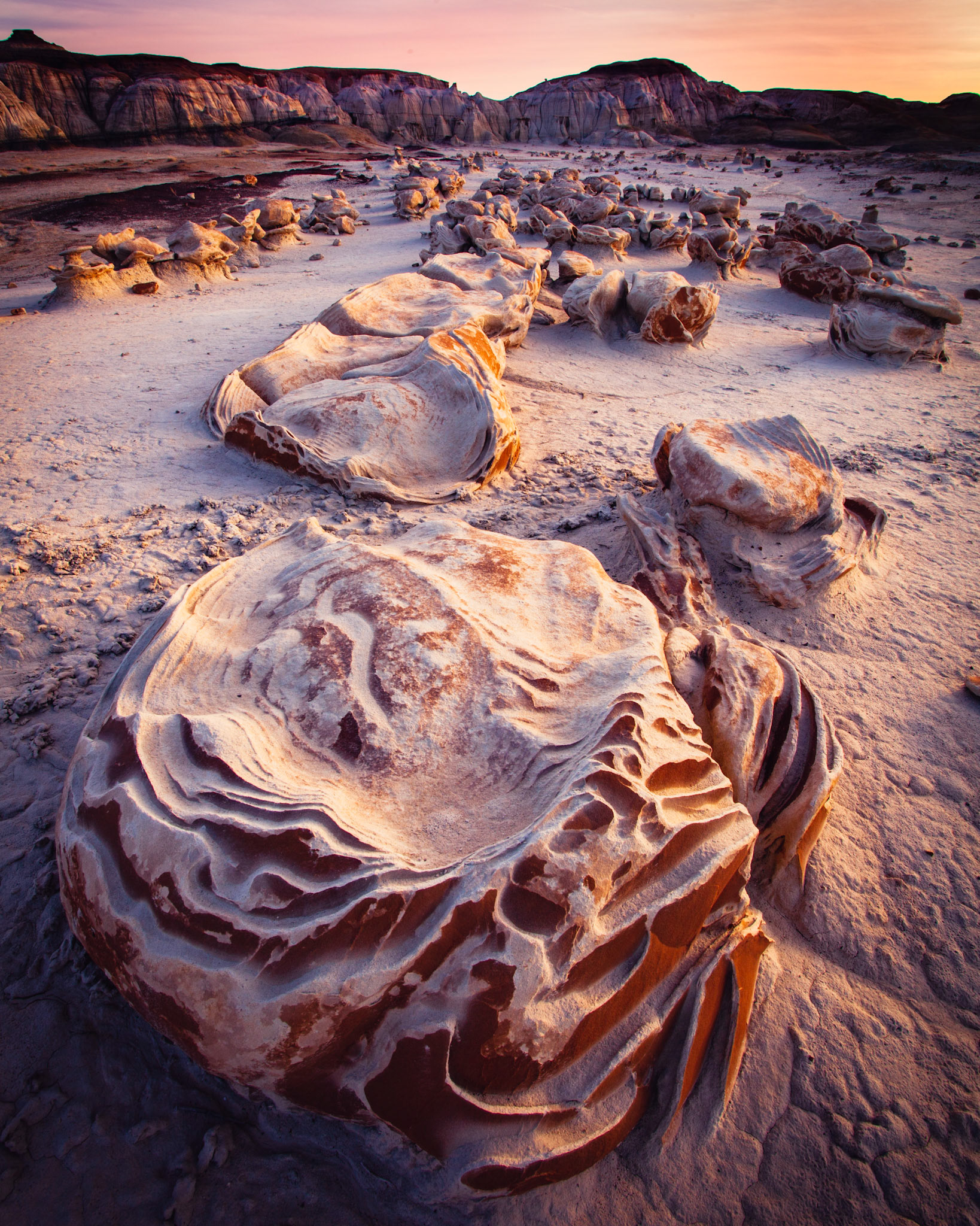 Bisti Wilderness, northwestern New Mexico, USA.