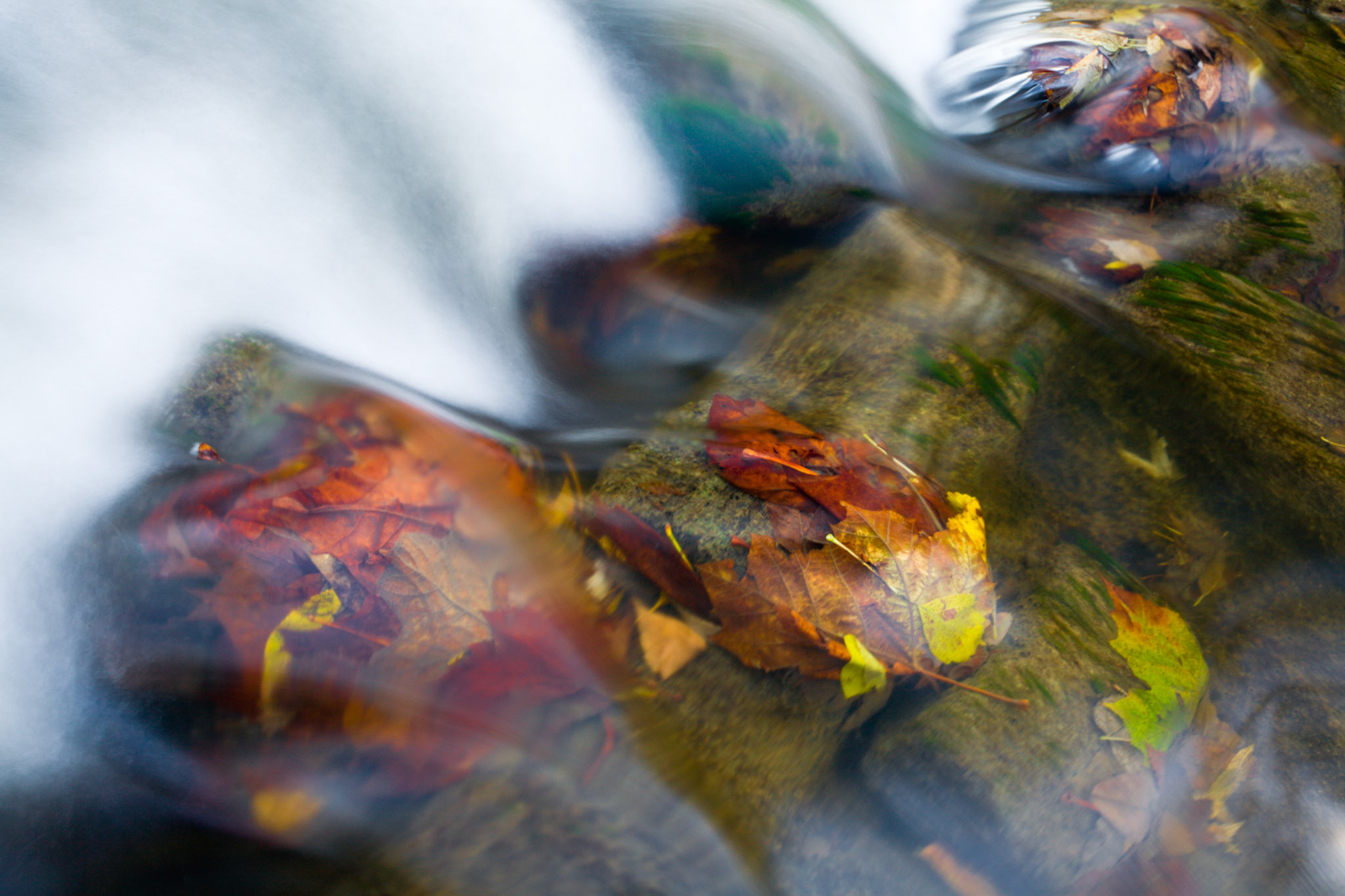Fall under Cedar Creek