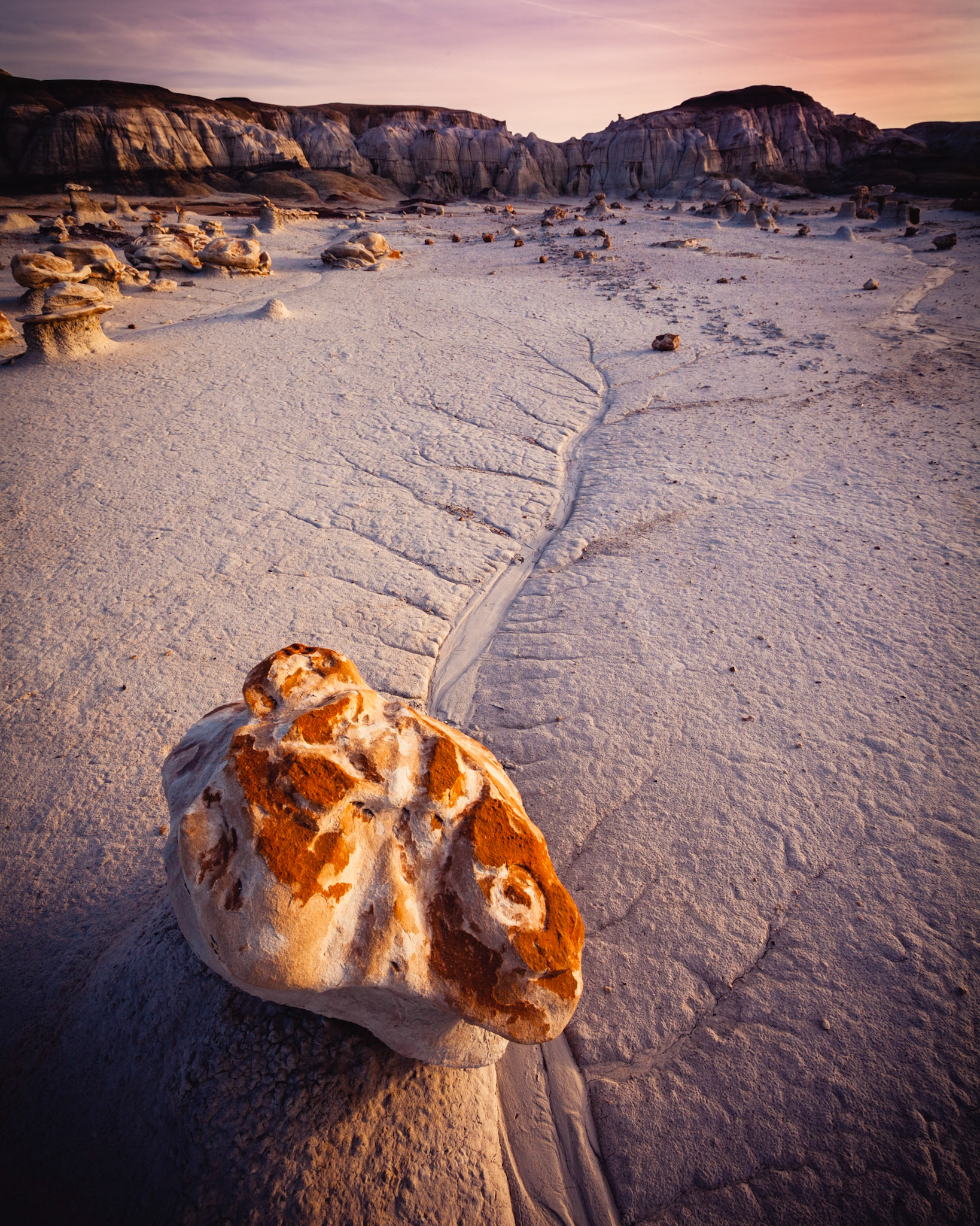 Bisti Wilderness, northwest New Mexico, USA.
