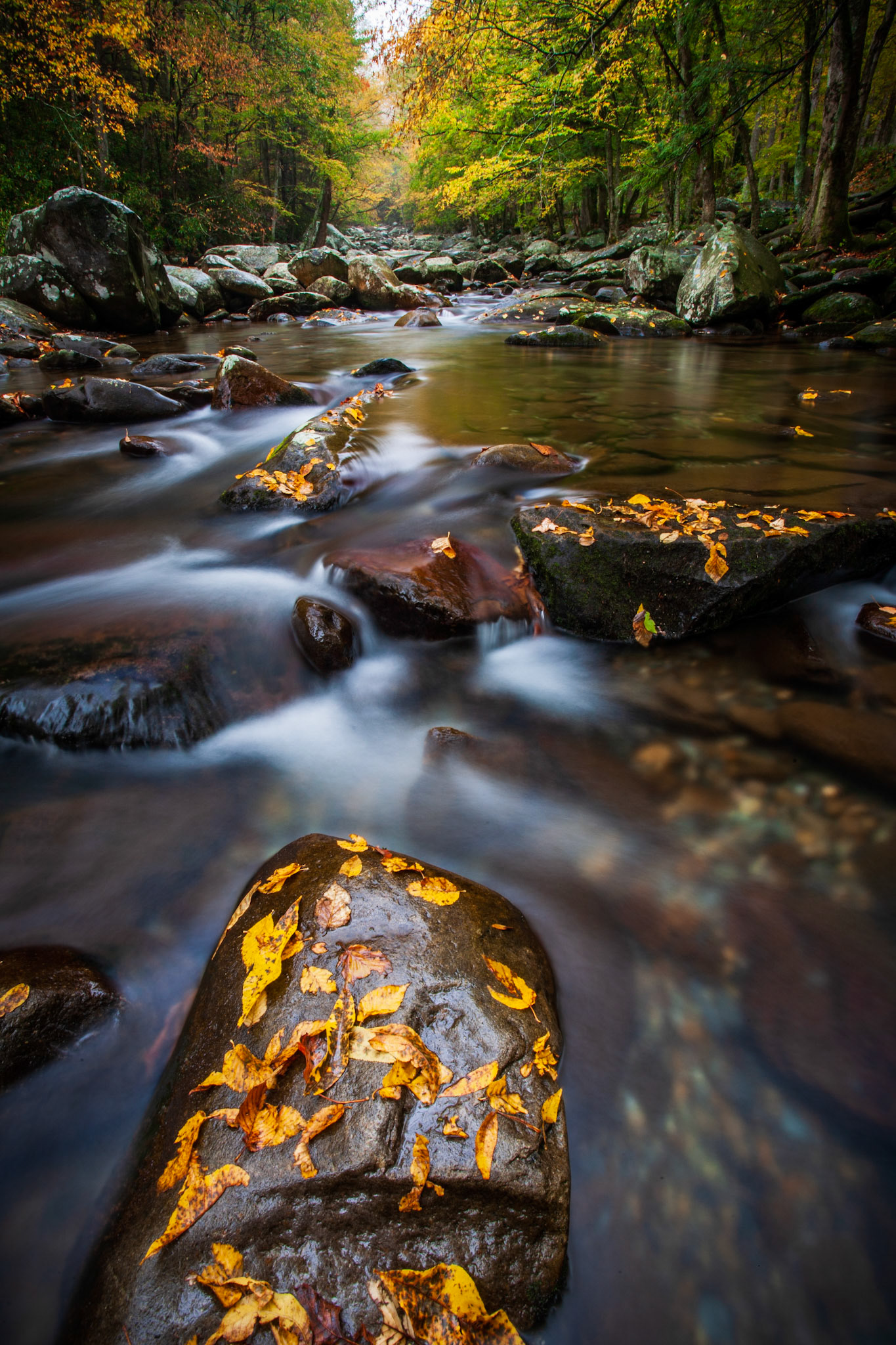 Little Pigeon River, Great Smoky Mountains National Park, Tennesee, USA.