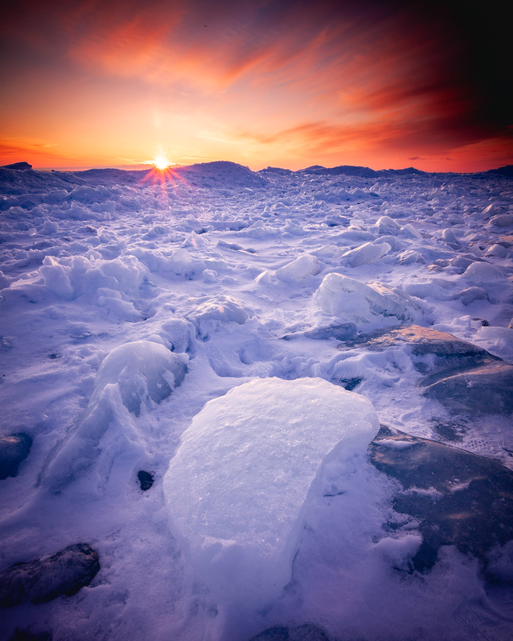 Aspens near Kebler Pass, Colorado, USA.