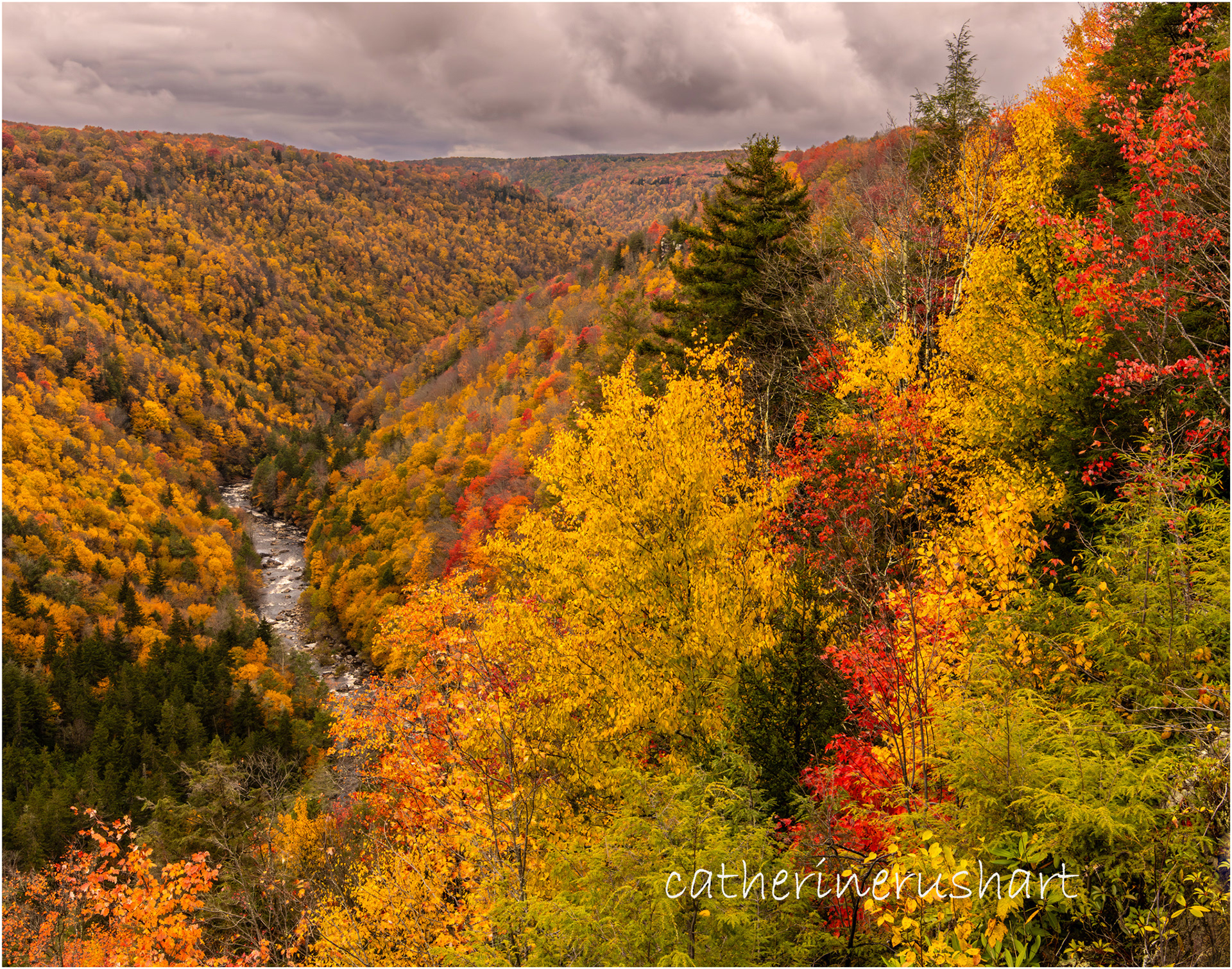 West Virginia