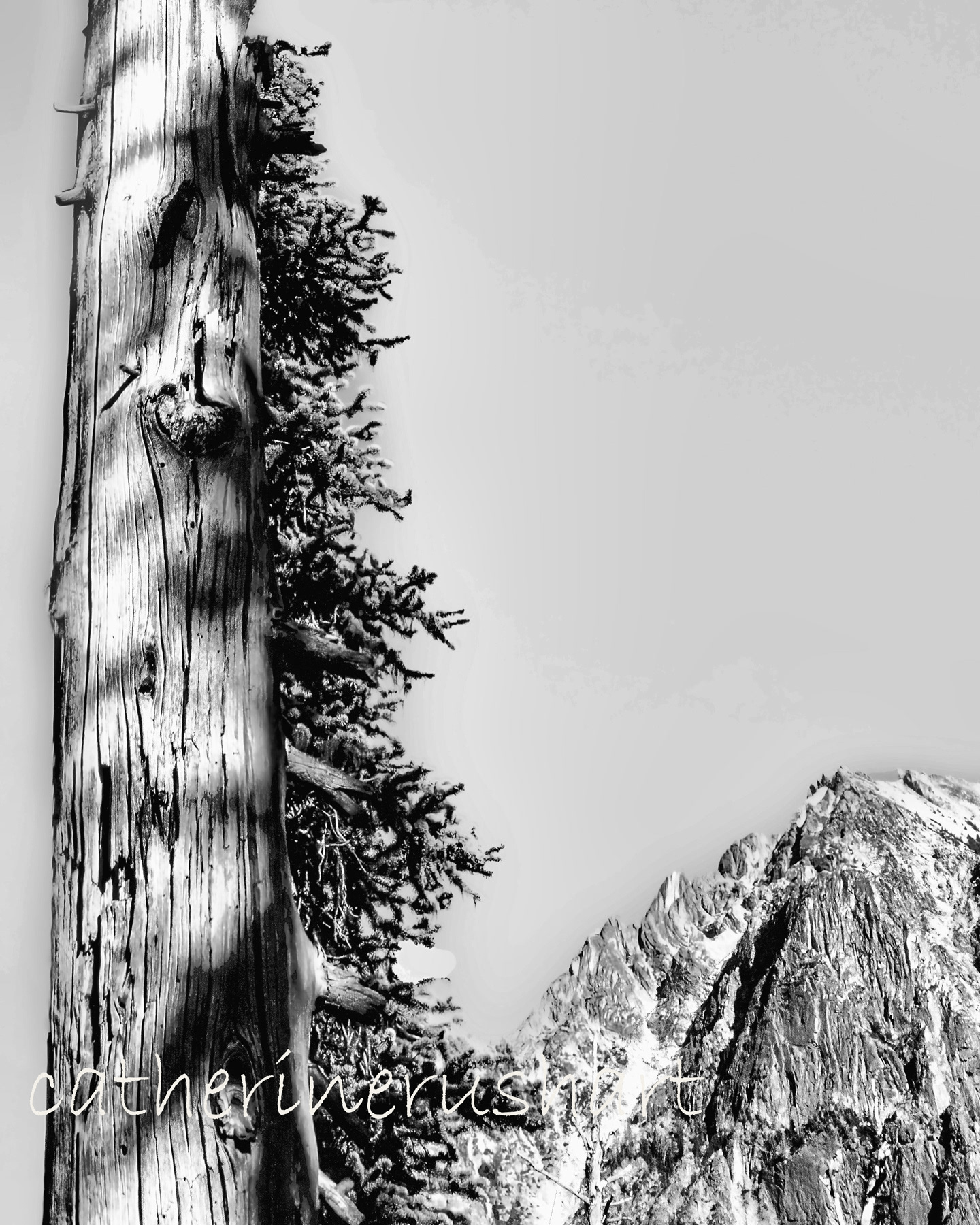 Cascade scene