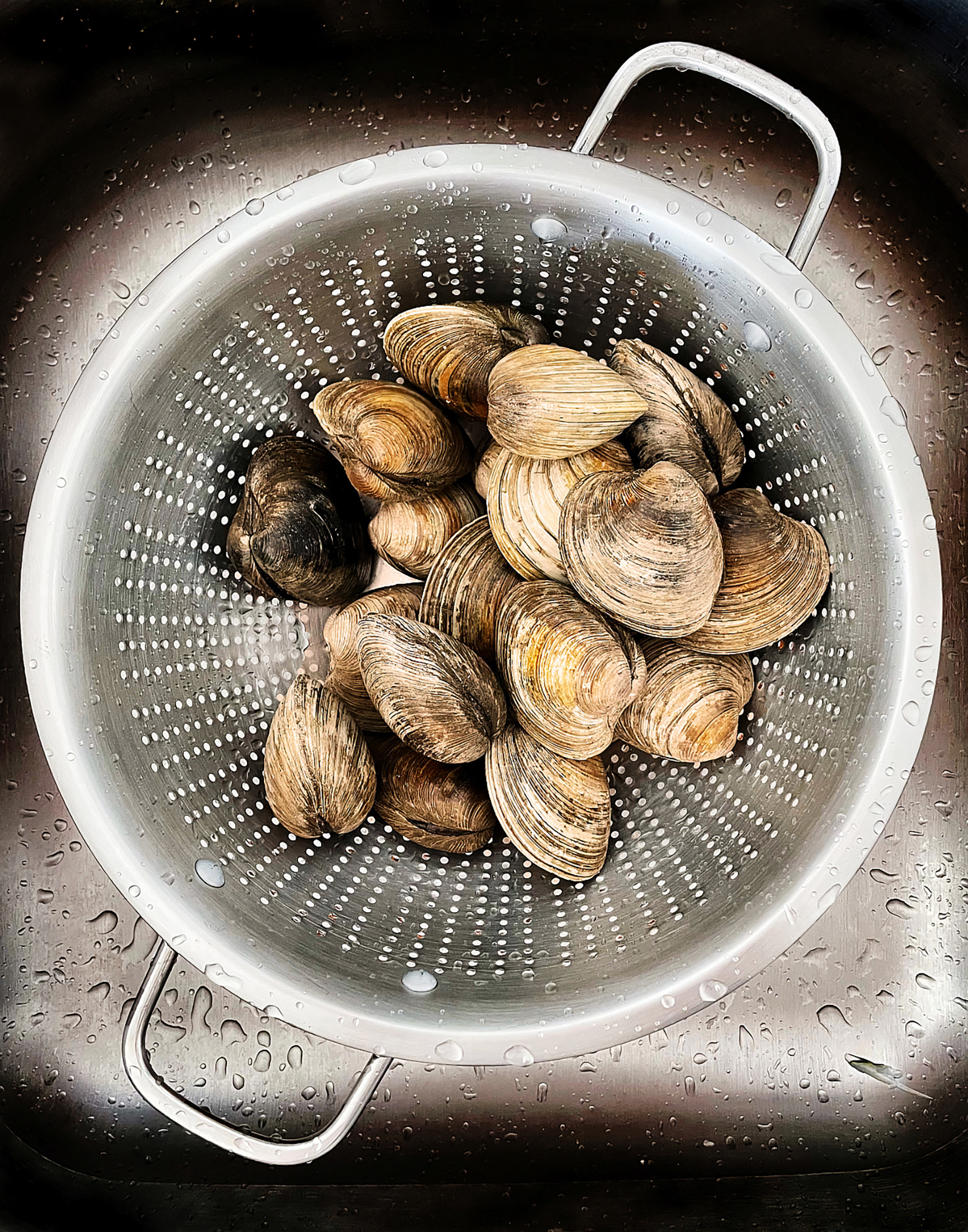 Fresh Clams in Juried Food for Thought MFA 2023