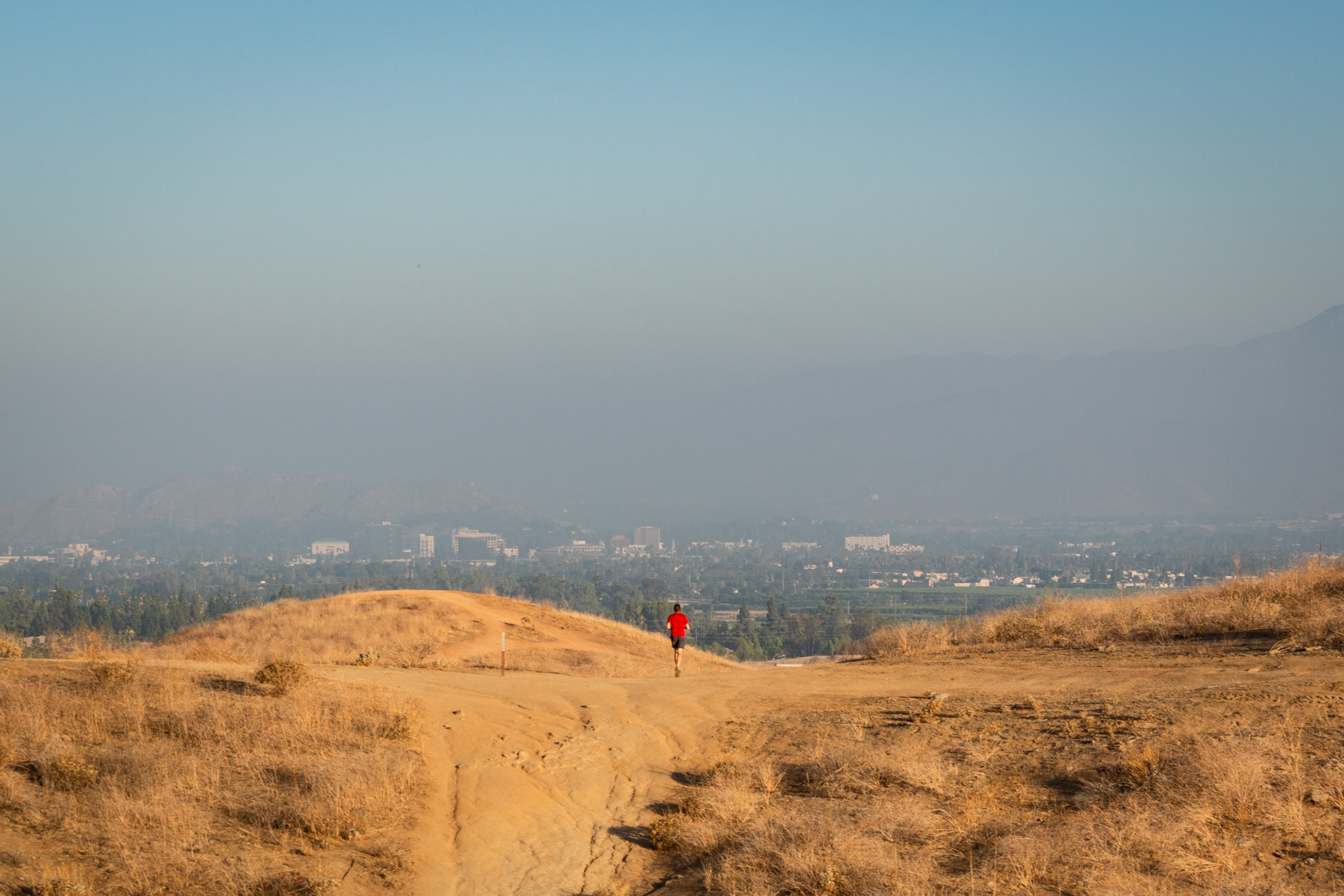 Sycamore Canyon