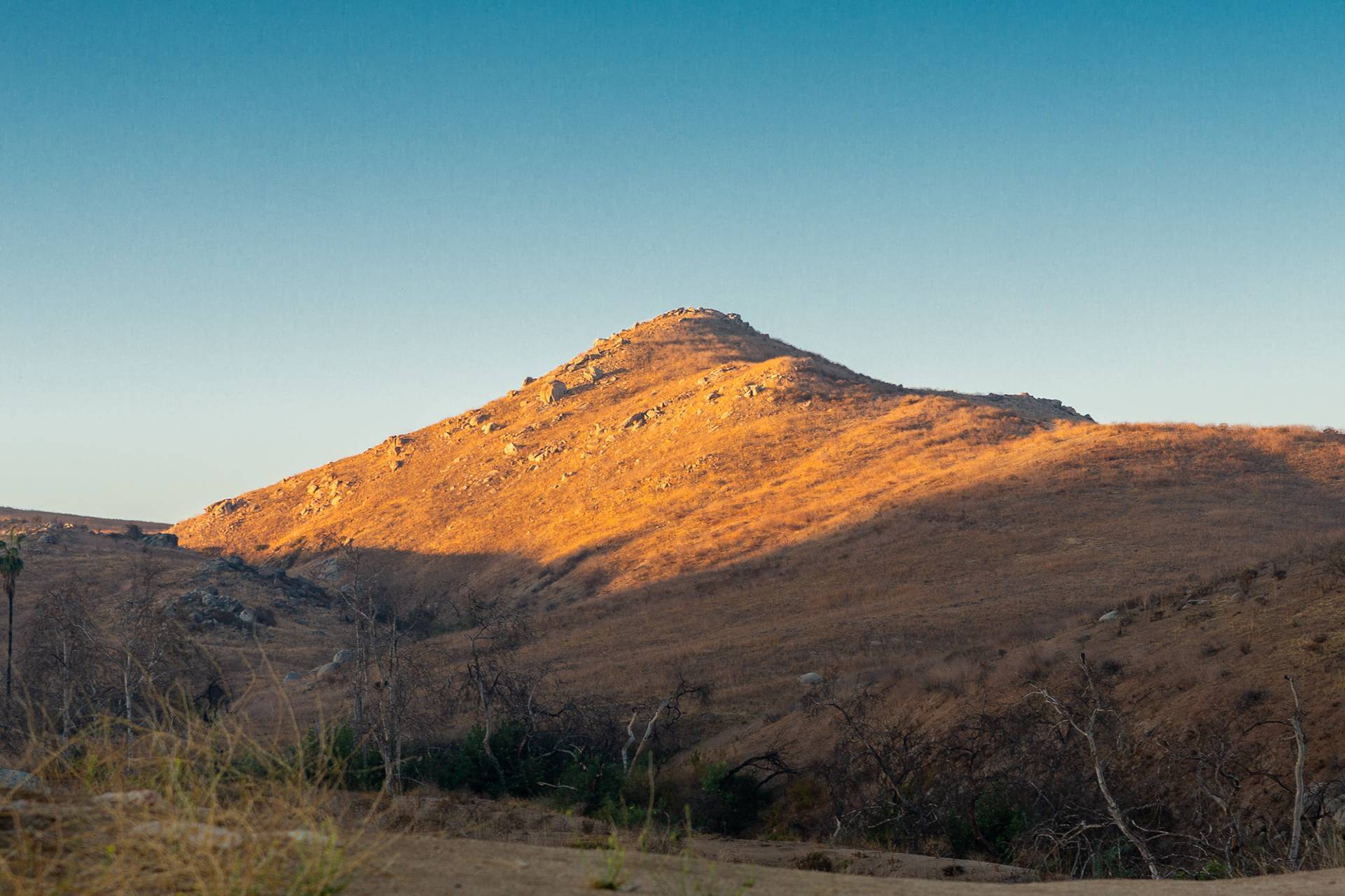 Sycamore Canyon