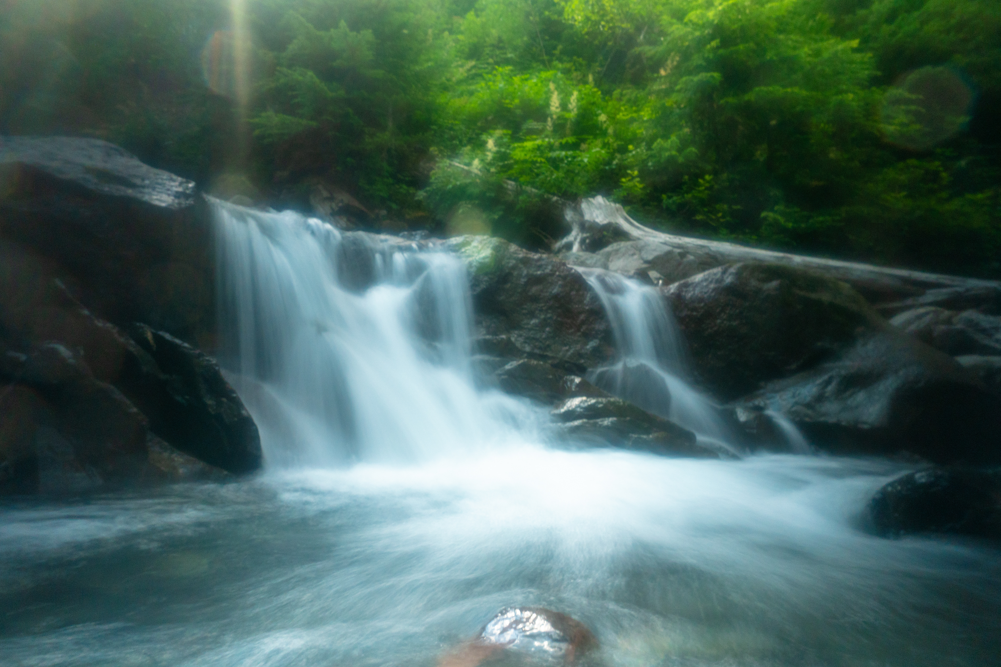 Heliotrope Ridge - Summer 2024