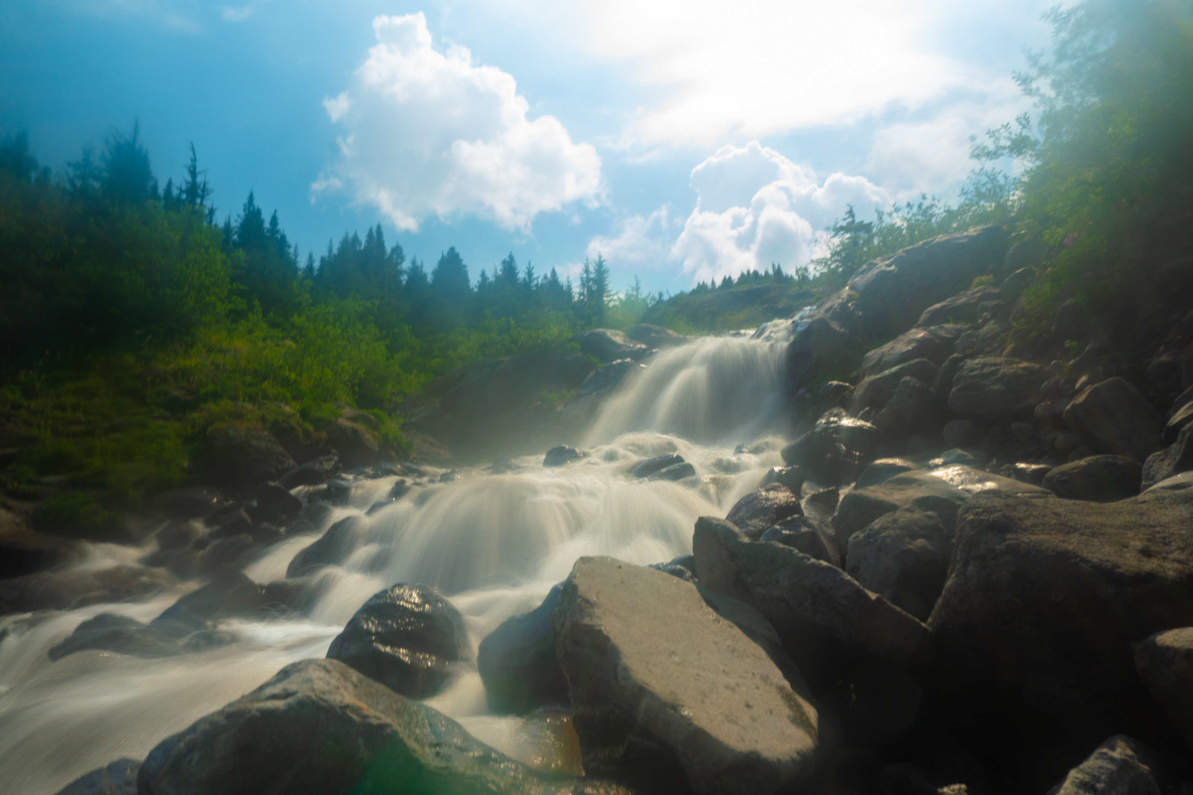 Heliotrope Ridge - Summer 2024