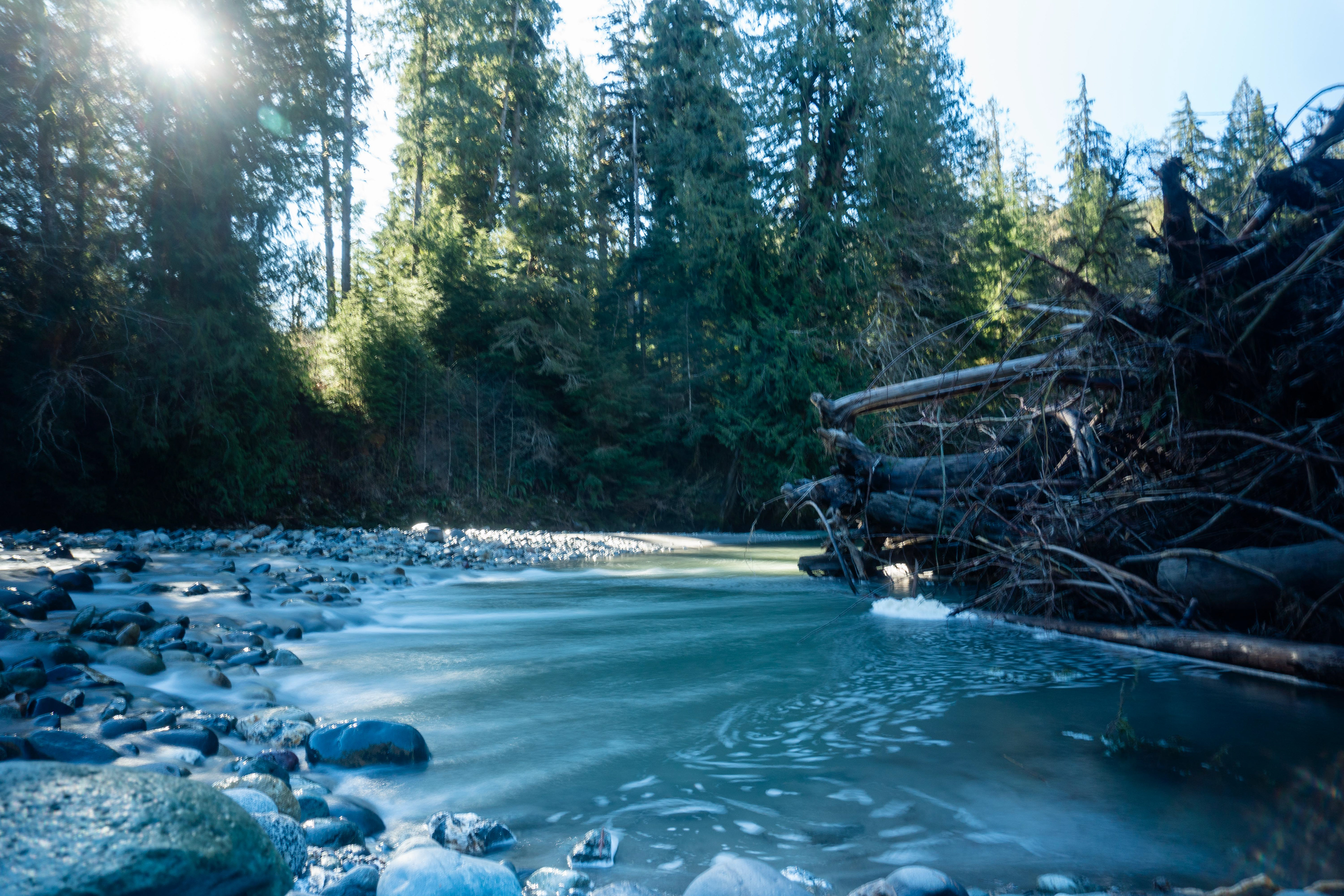 Engineered Log Jam - Nooksack River, Middle Fork - Winter 2024